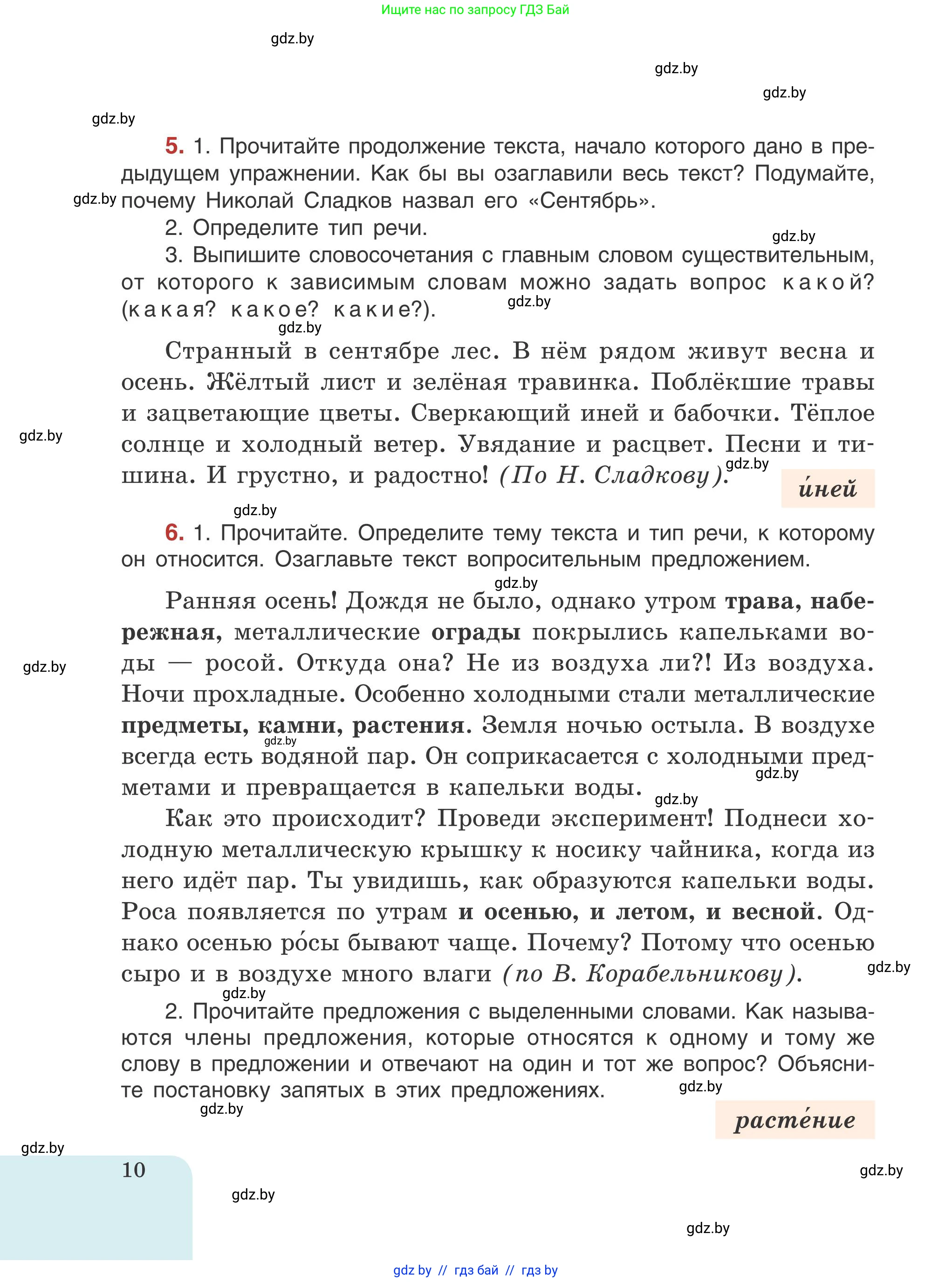 Русский язык, 5 класс Учебник, авторы: Мурина Лариса Александровна, Игнатович Татьяна Владимировна, Жадейко Жанна Фёдоровна, издательство Академия образования, Минск, 2025, голубого цвета, Часть 1, страница 10