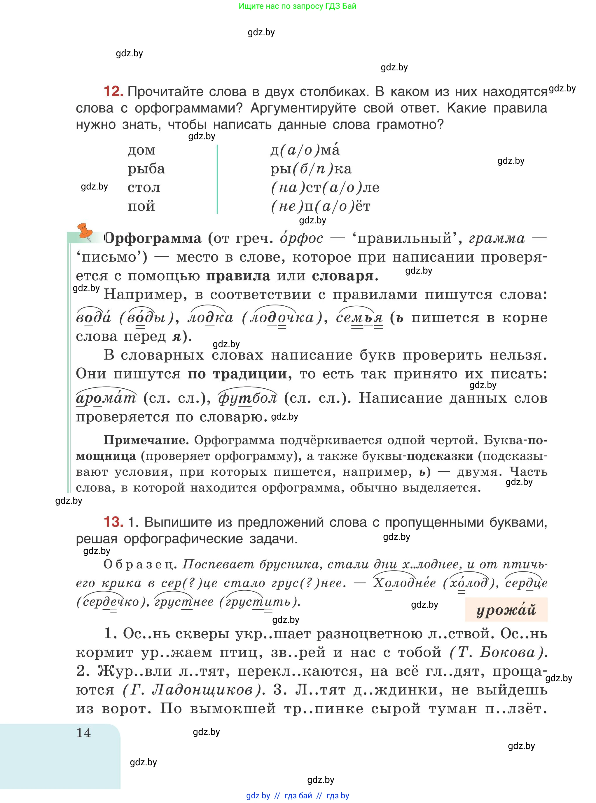 Русский язык, 5 класс Учебник, авторы: Мурина Лариса Александровна, Игнатович Татьяна Владимировна, Жадейко Жанна Фёдоровна, издательство Академия образования, Минск, 2025, голубого цвета, Часть 1, страница 14