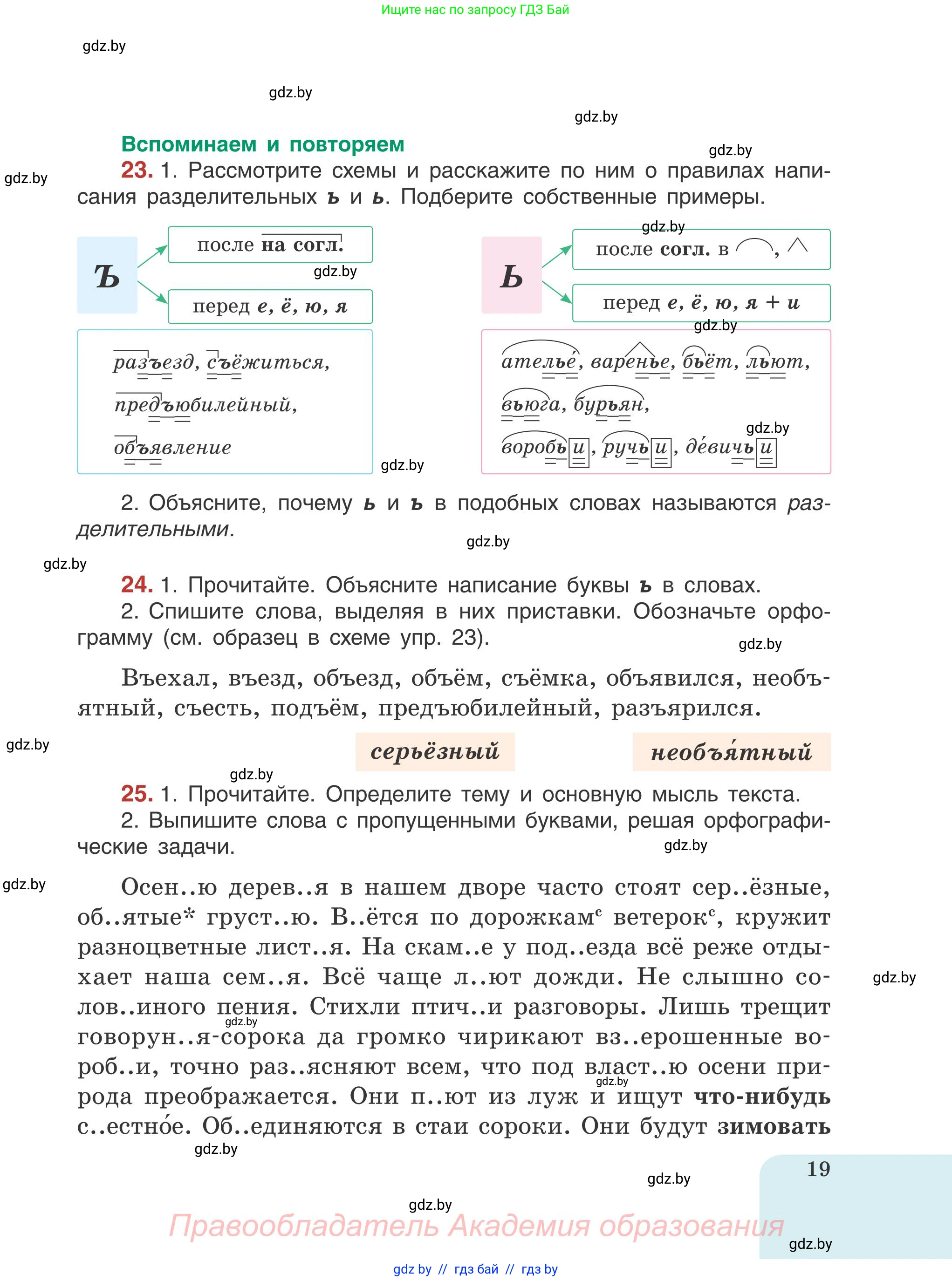 Русский язык, 5 класс Учебник, авторы: Мурина Лариса Александровна, Игнатович Татьяна Владимировна, Жадейко Жанна Фёдоровна, издательство Академия образования, Минск, 2025, голубого цвета, Часть 1, страница 19