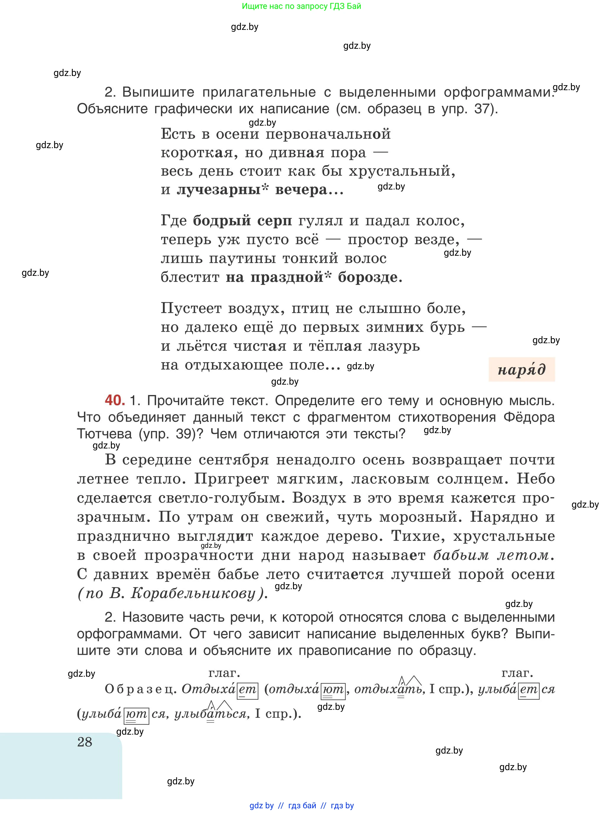 Русский язык, 5 класс Учебник, авторы: Мурина Лариса Александровна, Игнатович Татьяна Владимировна, Жадейко Жанна Фёдоровна, издательство Академия образования, Минск, 2025, голубого цвета, Часть 1, страница 28