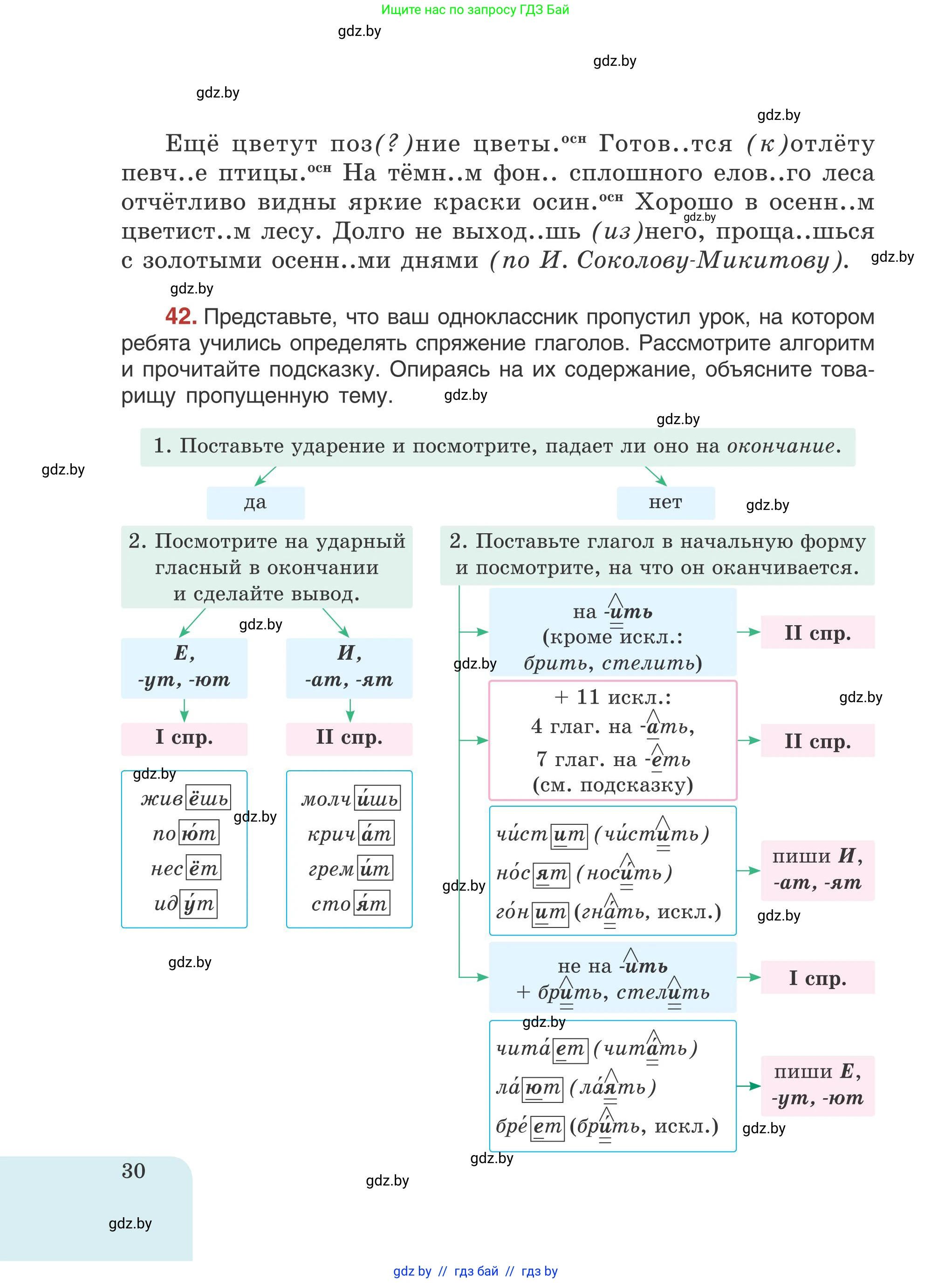 Русский язык, 5 класс Учебник, авторы: Мурина Лариса Александровна, Игнатович Татьяна Владимировна, Жадейко Жанна Фёдоровна, издательство Академия образования, Минск, 2025, голубого цвета, Часть 1, страница 30