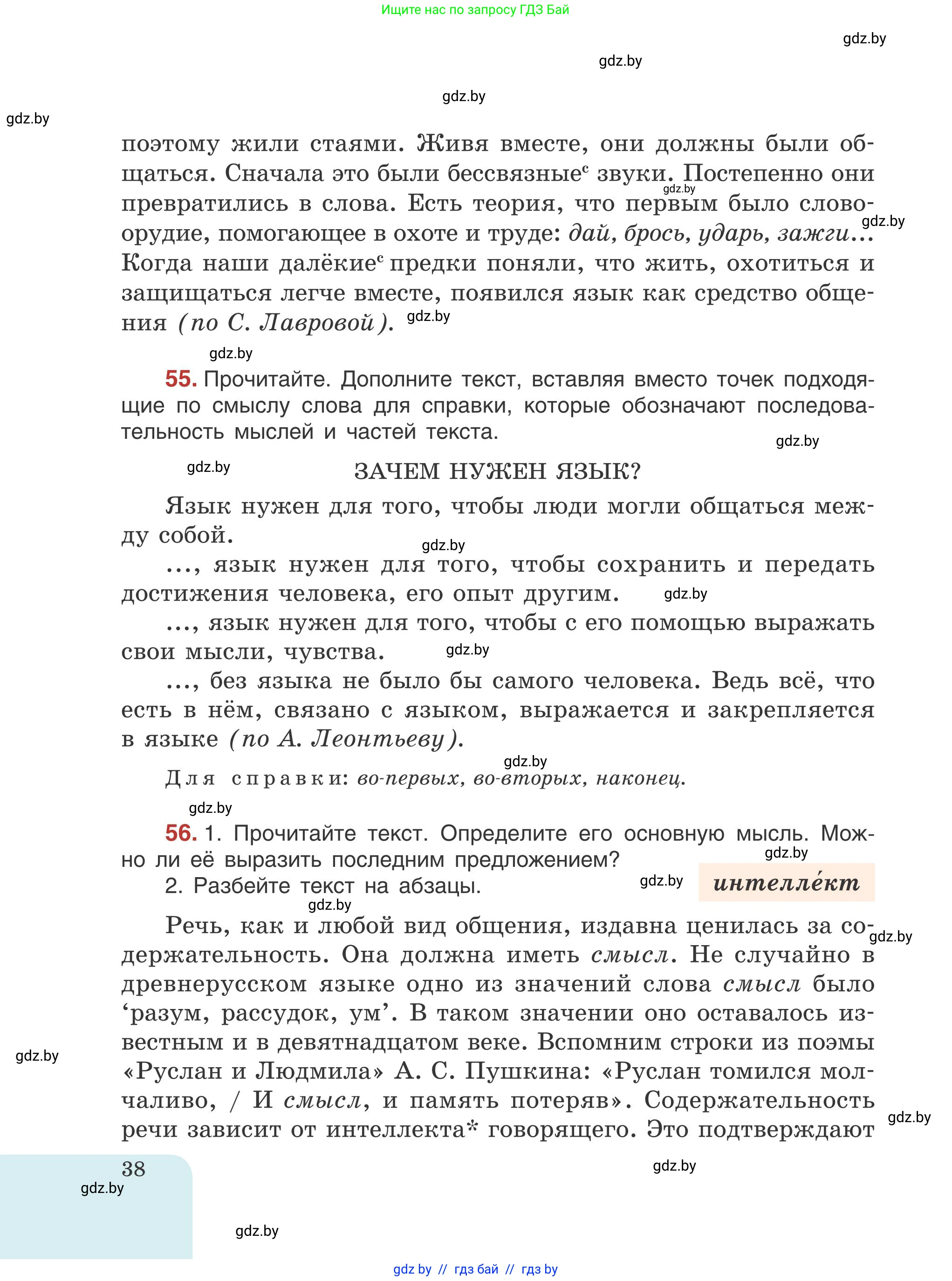 Русский язык, 5 класс Учебник, авторы: Мурина Лариса Александровна, Игнатович Татьяна Владимировна, Жадейко Жанна Фёдоровна, издательство Академия образования, Минск, 2025, голубого цвета, Часть 1, страница 38