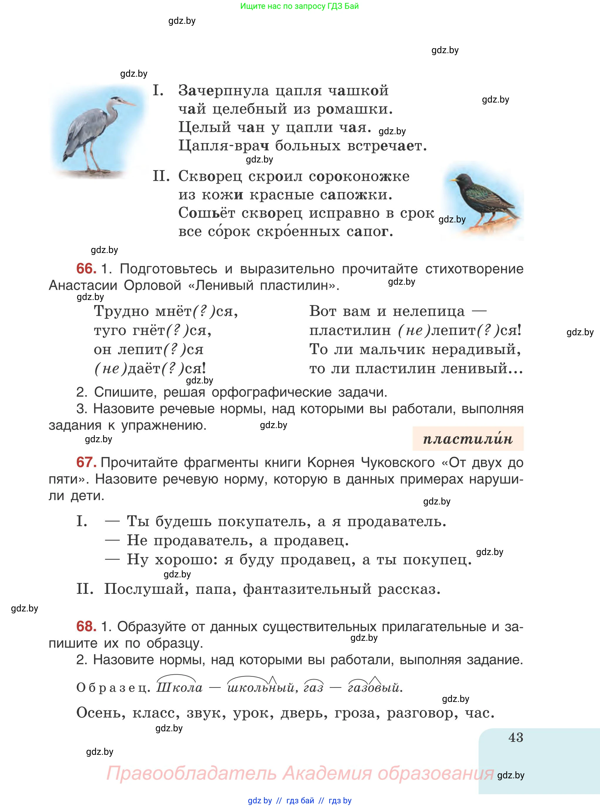 Русский язык, 5 класс Учебник, авторы: Мурина Лариса Александровна, Игнатович Татьяна Владимировна, Жадейко Жанна Фёдоровна, издательство Академия образования, Минск, 2025, голубого цвета, Часть 1, страница 43