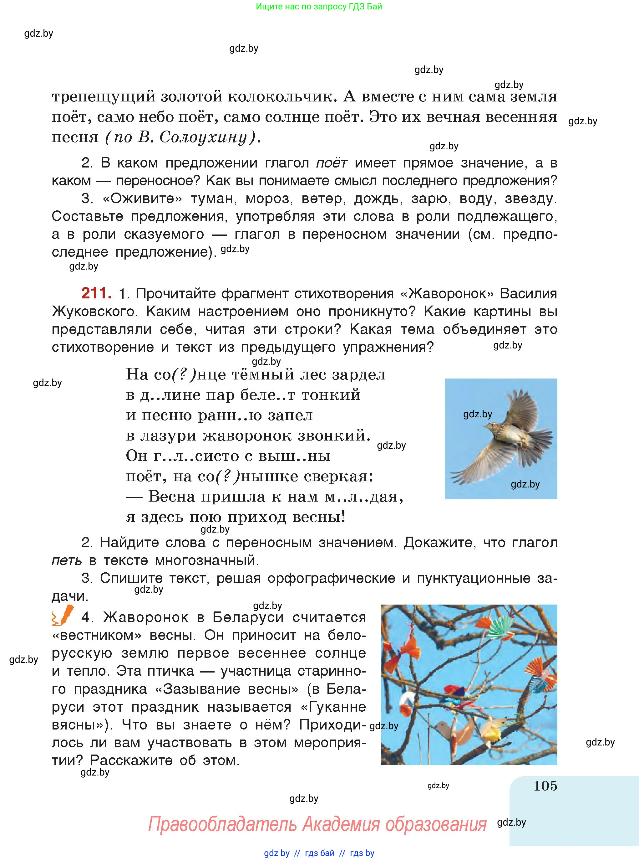 Русский язык, 5 класс Учебник, авторы: Мурина Лариса Александровна, Игнатович Татьяна Владимировна, Жадейко Жанна Фёдоровна, издательство Академия образования, Минск, 2025, голубого цвета, страница 105