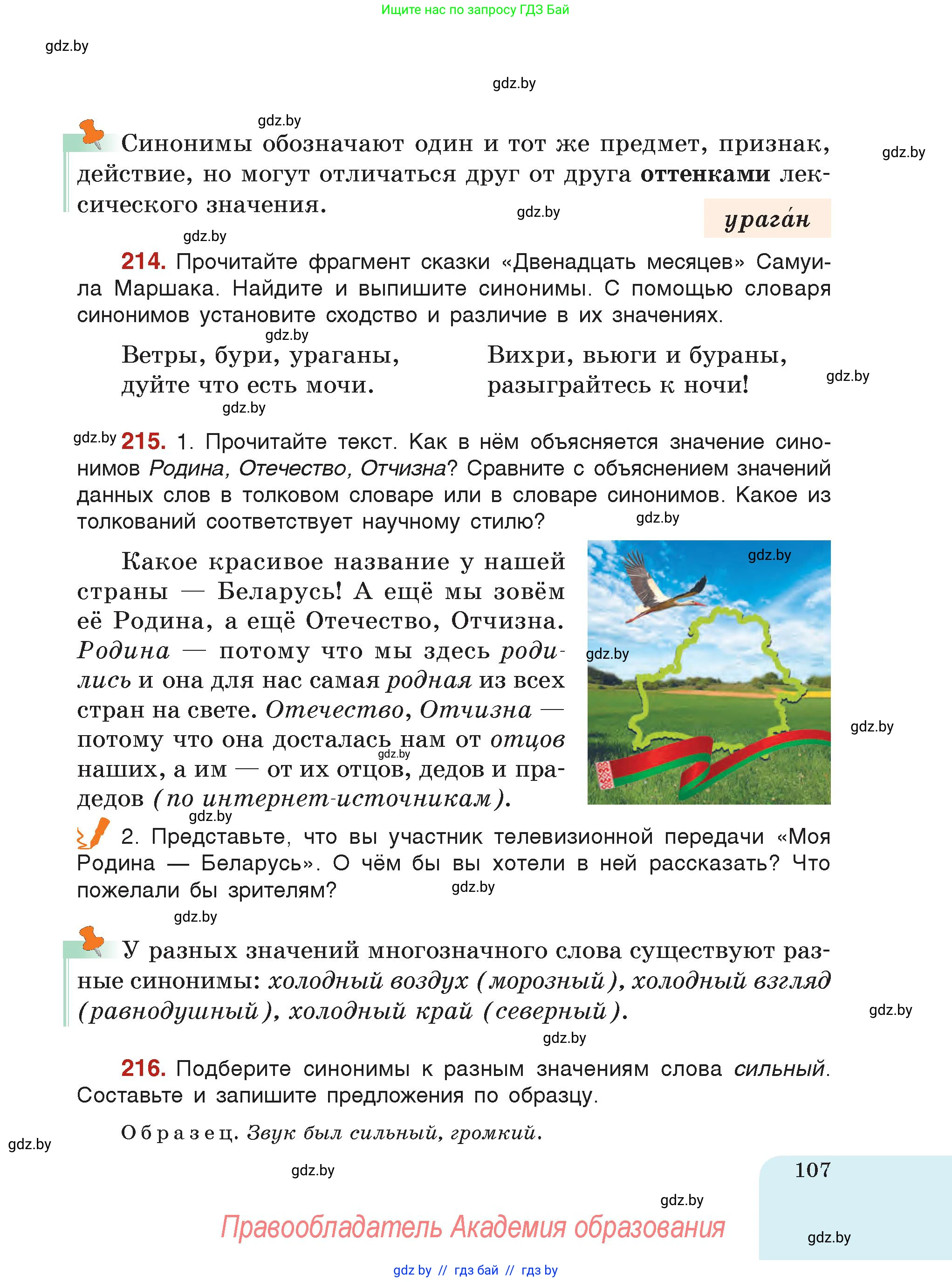 Русский язык, 5 класс Учебник, авторы: Мурина Лариса Александровна, Игнатович Татьяна Владимировна, Жадейко Жанна Фёдоровна, издательство Академия образования, Минск, 2025, голубого цвета, страница 107