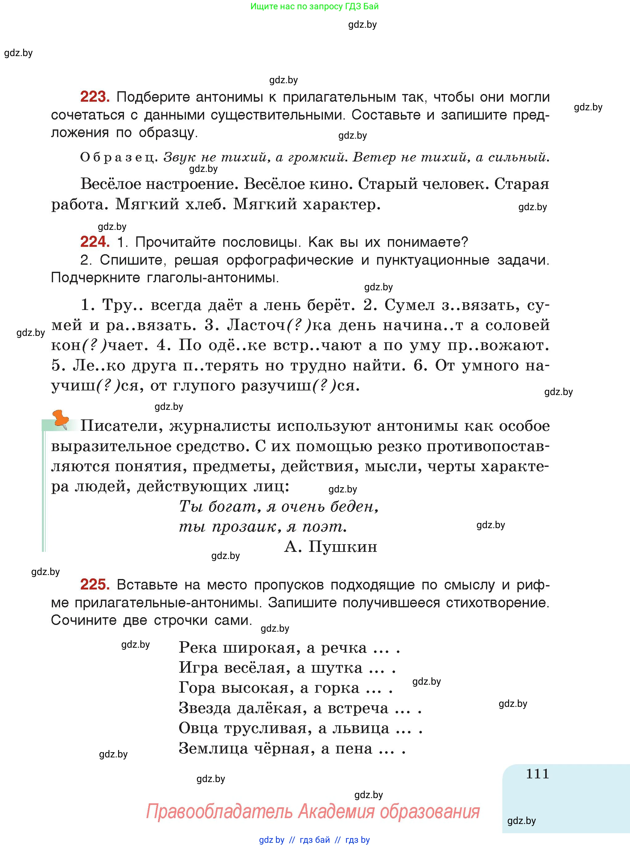Русский язык, 5 класс Учебник, авторы: Мурина Лариса Александровна, Игнатович Татьяна Владимировна, Жадейко Жанна Фёдоровна, издательство Академия образования, Минск, 2025, голубого цвета, страница 111