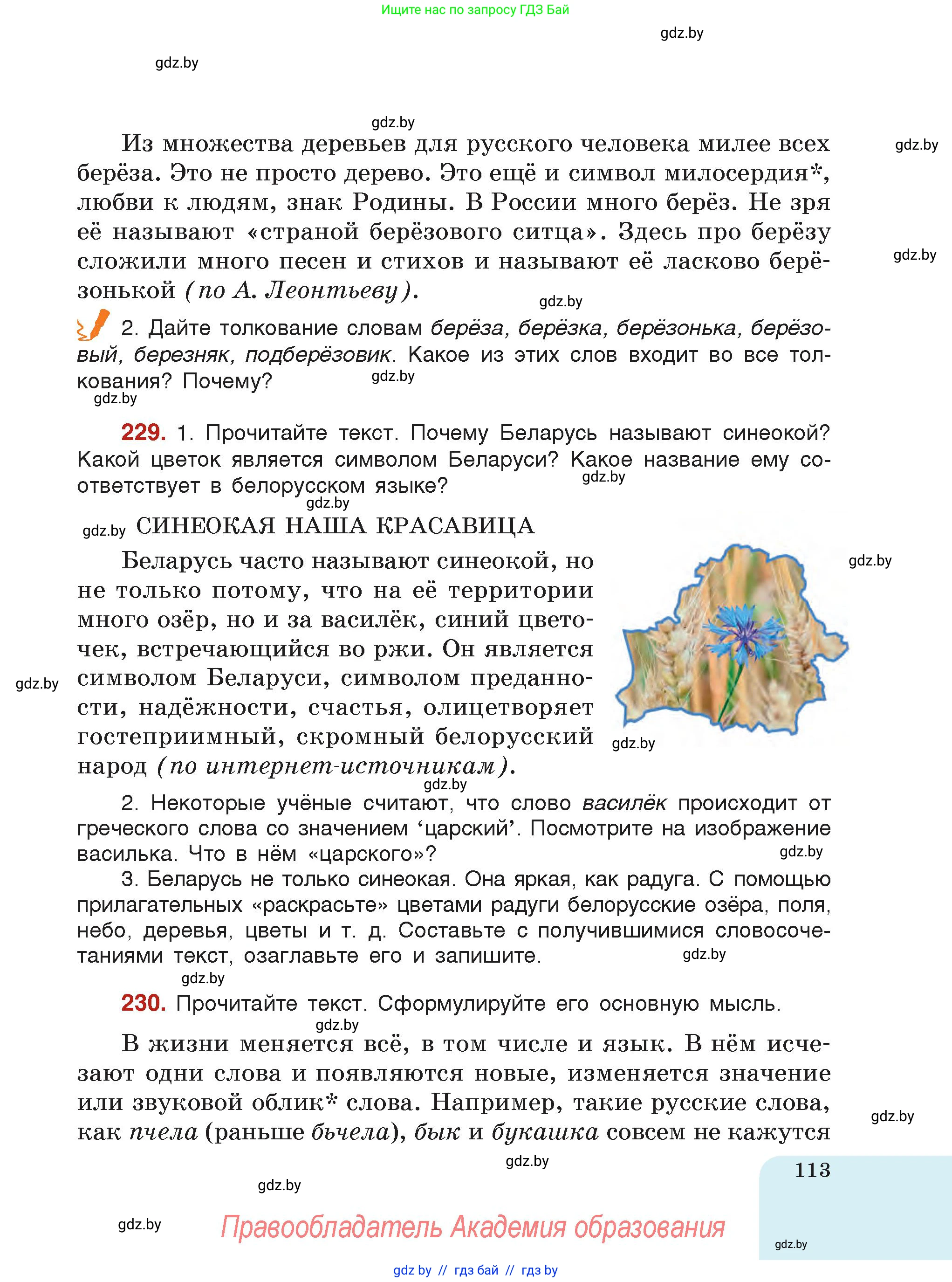 Русский язык, 5 класс Учебник, авторы: Мурина Лариса Александровна, Игнатович Татьяна Владимировна, Жадейко Жанна Фёдоровна, издательство Академия образования, Минск, 2025, голубого цвета, страница 113