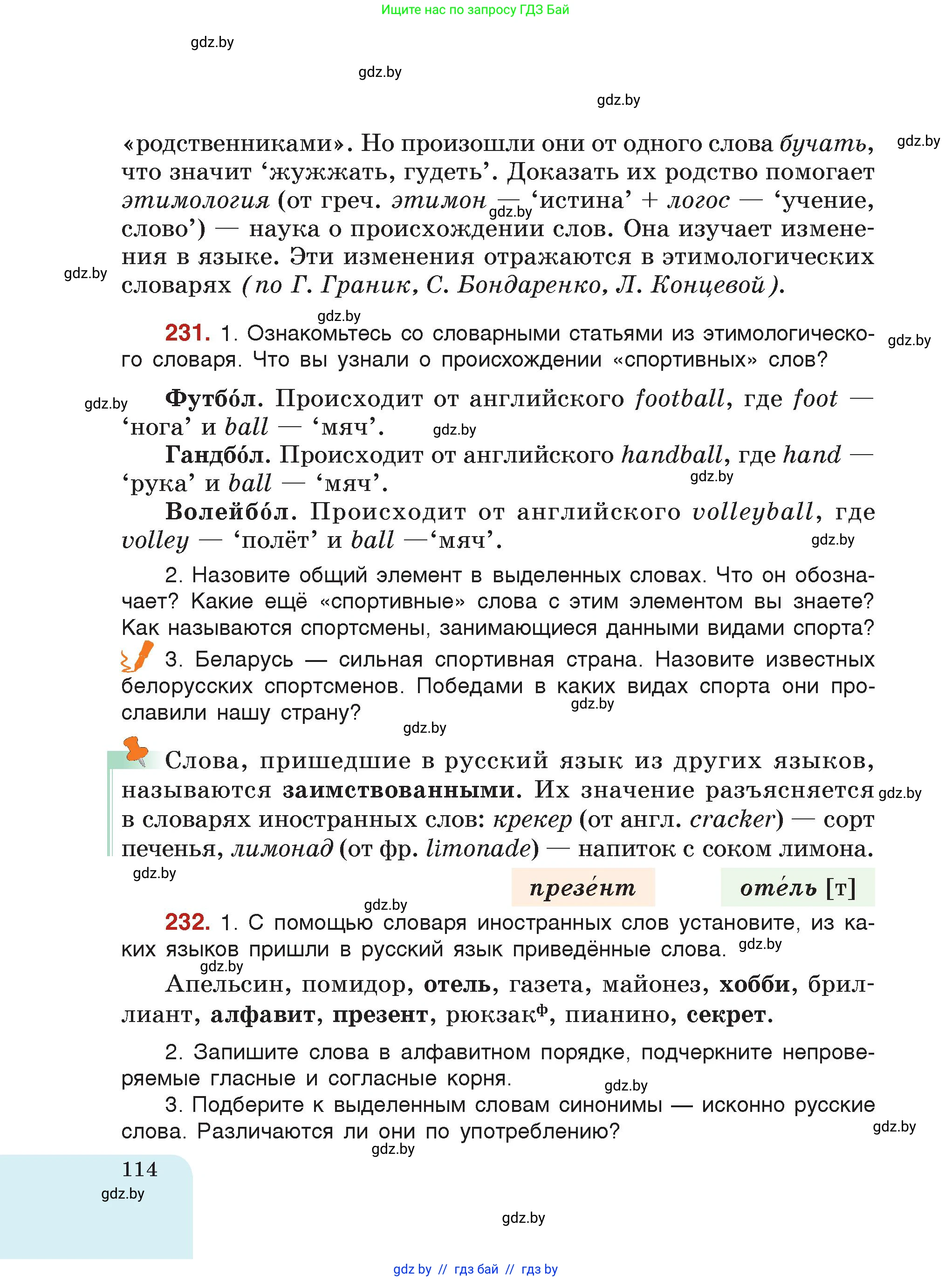 Русский язык, 5 класс Учебник, авторы: Мурина Лариса Александровна, Игнатович Татьяна Владимировна, Жадейко Жанна Фёдоровна, издательство Академия образования, Минск, 2025, голубого цвета, страница 114