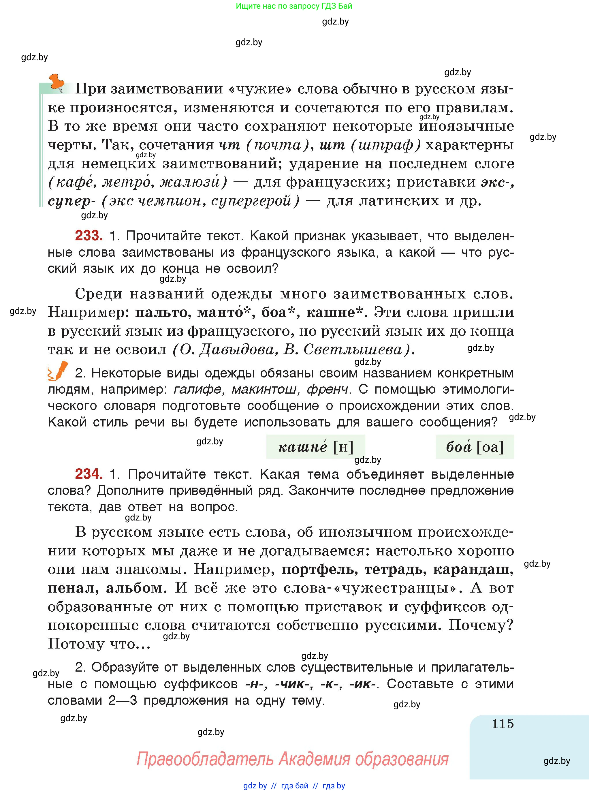 Русский язык, 5 класс Учебник, авторы: Мурина Лариса Александровна, Игнатович Татьяна Владимировна, Жадейко Жанна Фёдоровна, издательство Академия образования, Минск, 2025, голубого цвета, страница 115