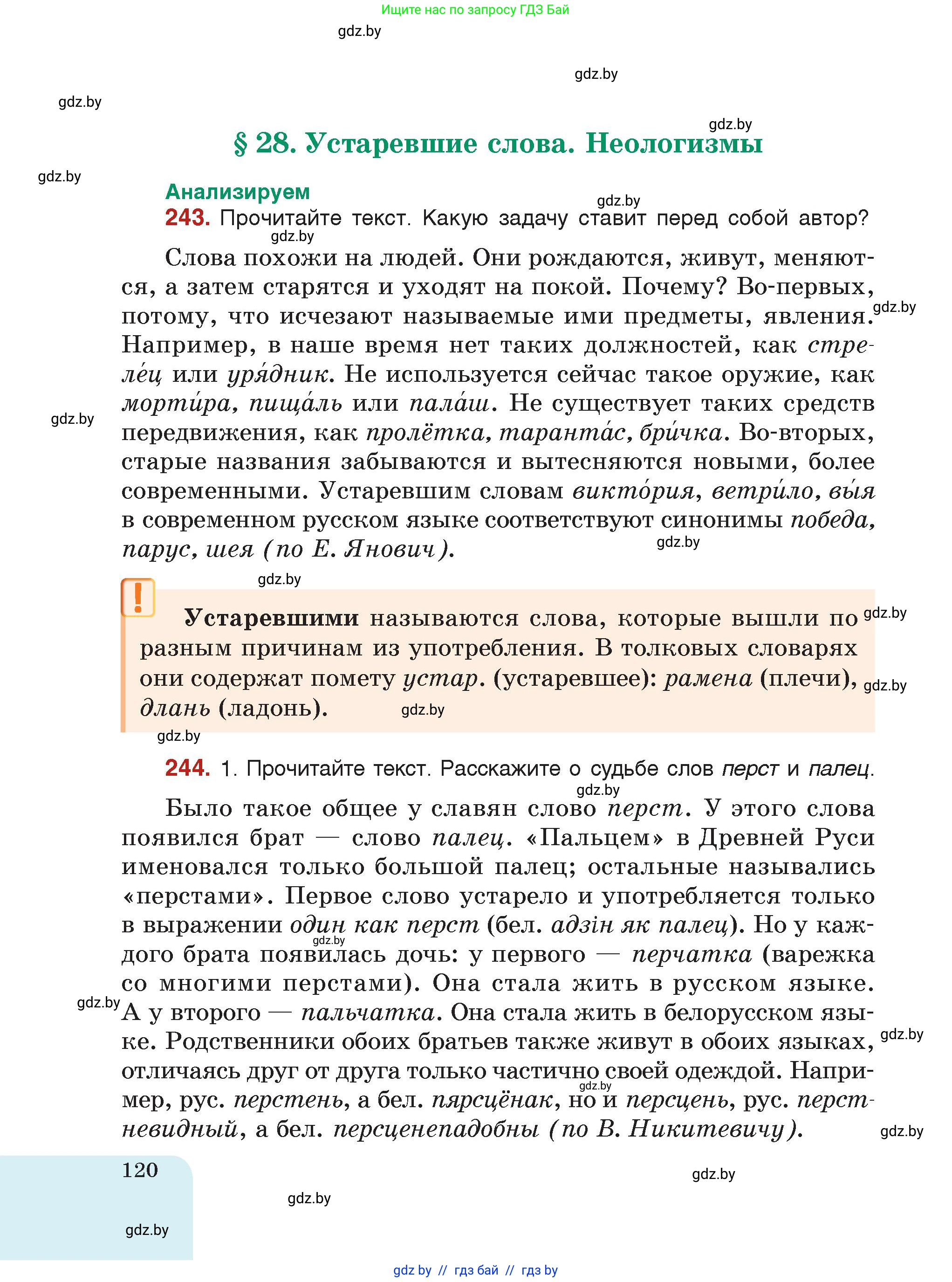 Русский язык, 5 класс Учебник, авторы: Мурина Лариса Александровна, Игнатович Татьяна Владимировна, Жадейко Жанна Фёдоровна, издательство Академия образования, Минск, 2025, голубого цвета, страница 120