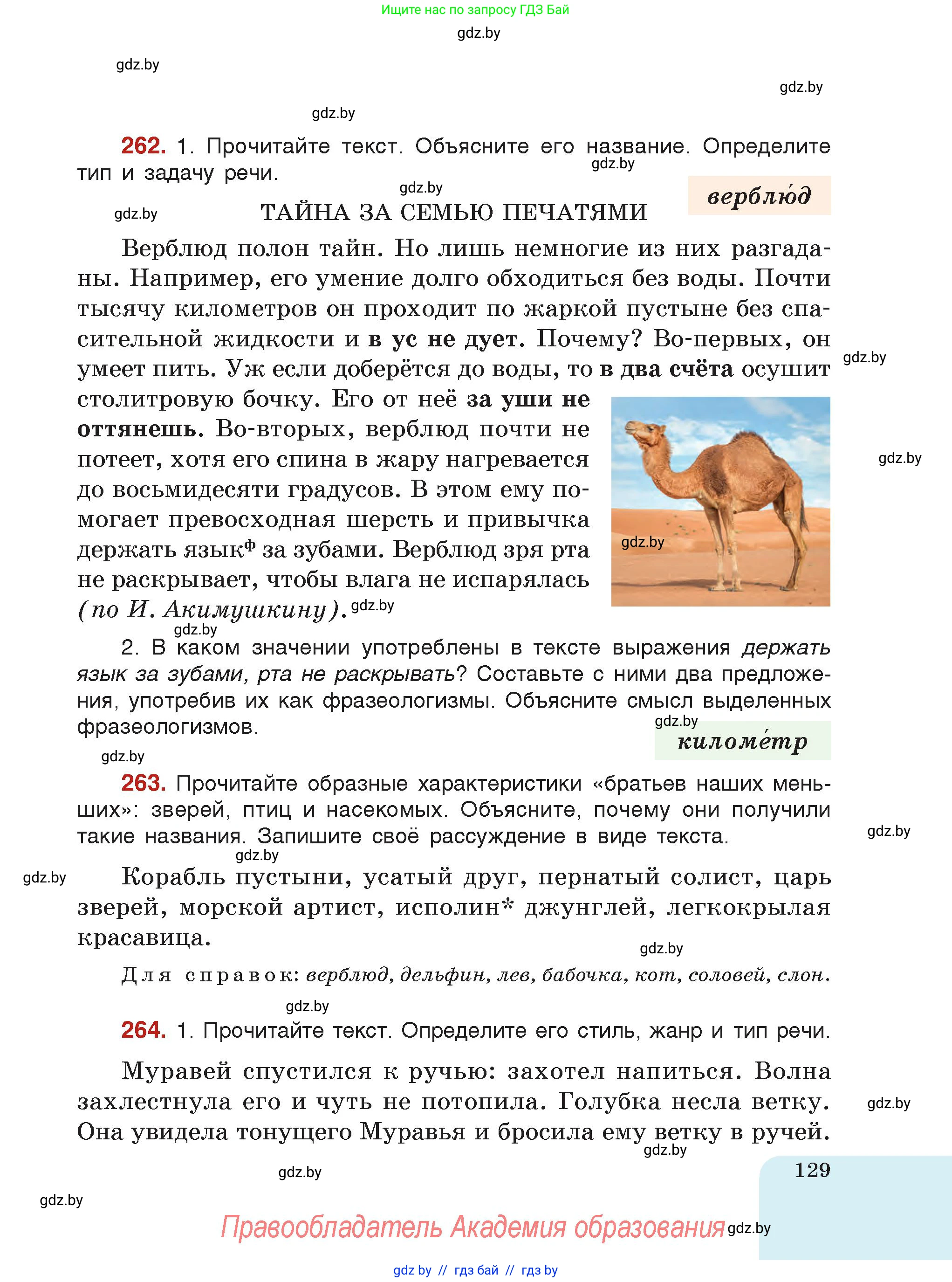 Русский язык, 5 класс Учебник, авторы: Мурина Лариса Александровна, Игнатович Татьяна Владимировна, Жадейко Жанна Фёдоровна, издательство Академия образования, Минск, 2025, голубого цвета, страница 129