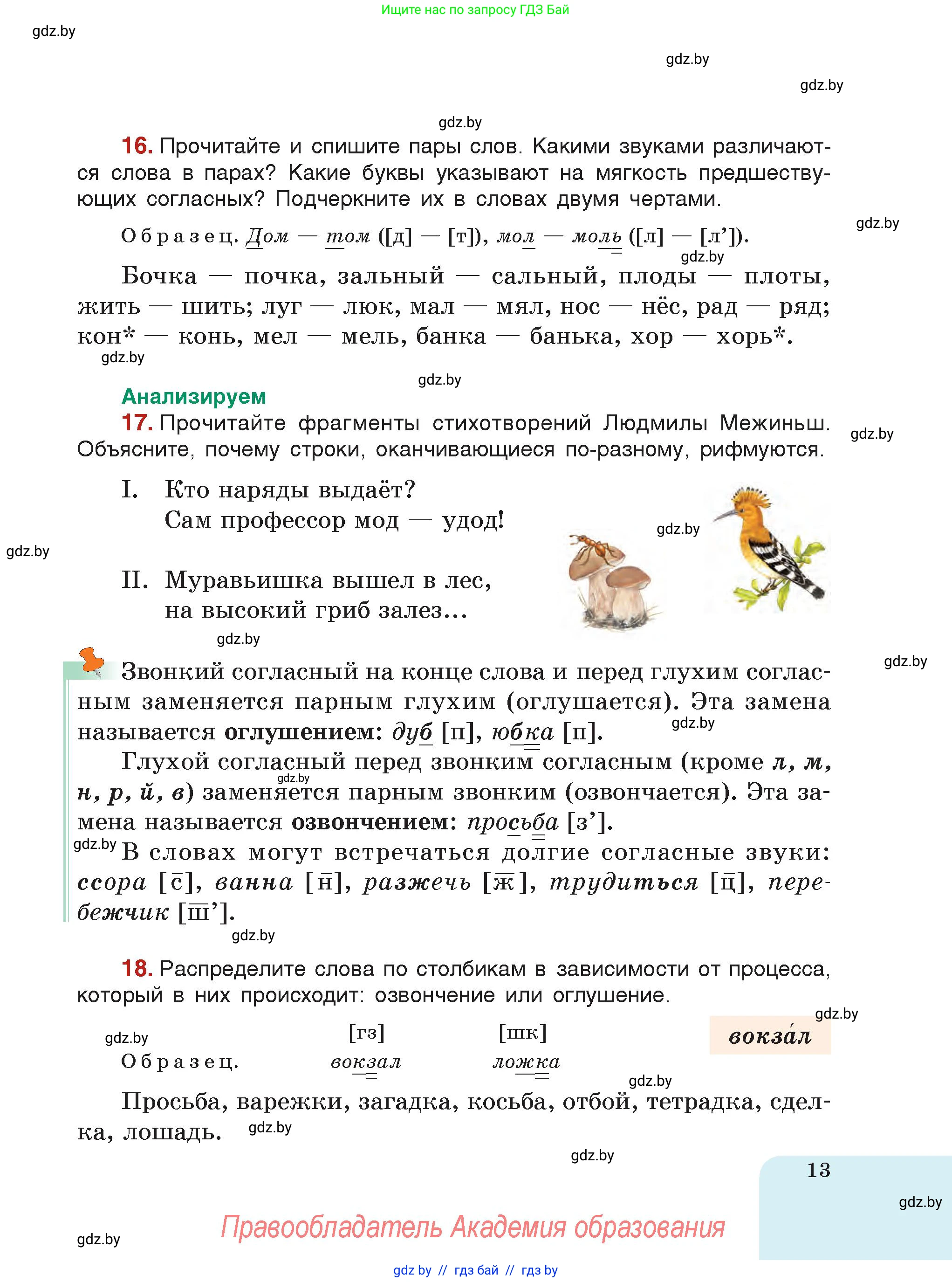 Русский язык, 5 класс Учебник, авторы: Мурина Лариса Александровна, Игнатович Татьяна Владимировна, Жадейко Жанна Фёдоровна, издательство Академия образования, Минск, 2025, голубого цвета, страница 13