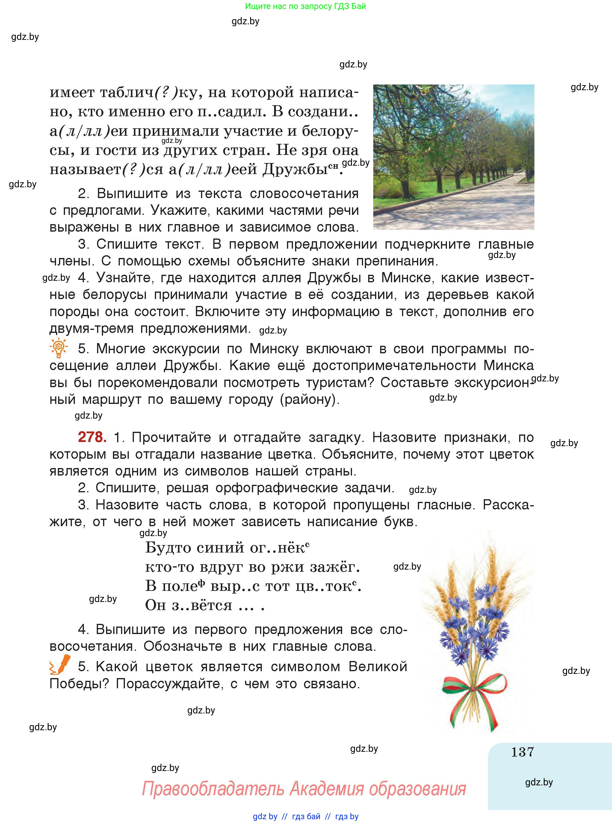 Русский язык, 5 класс Учебник, авторы: Мурина Лариса Александровна, Игнатович Татьяна Владимировна, Жадейко Жанна Фёдоровна, издательство Академия образования, Минск, 2025, голубого цвета, страница 137