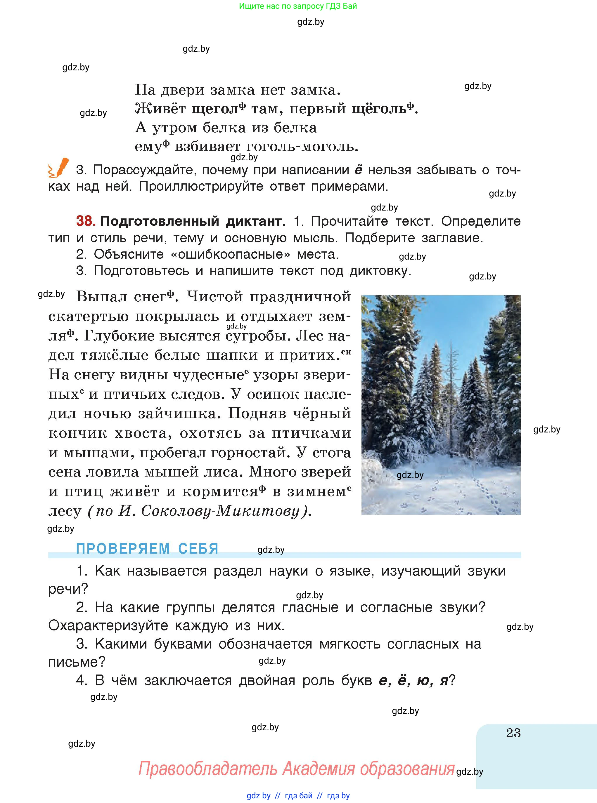 Русский язык, 5 класс Учебник, авторы: Мурина Лариса Александровна, Игнатович Татьяна Владимировна, Жадейко Жанна Фёдоровна, издательство Академия образования, Минск, 2025, голубого цвета, страница 23