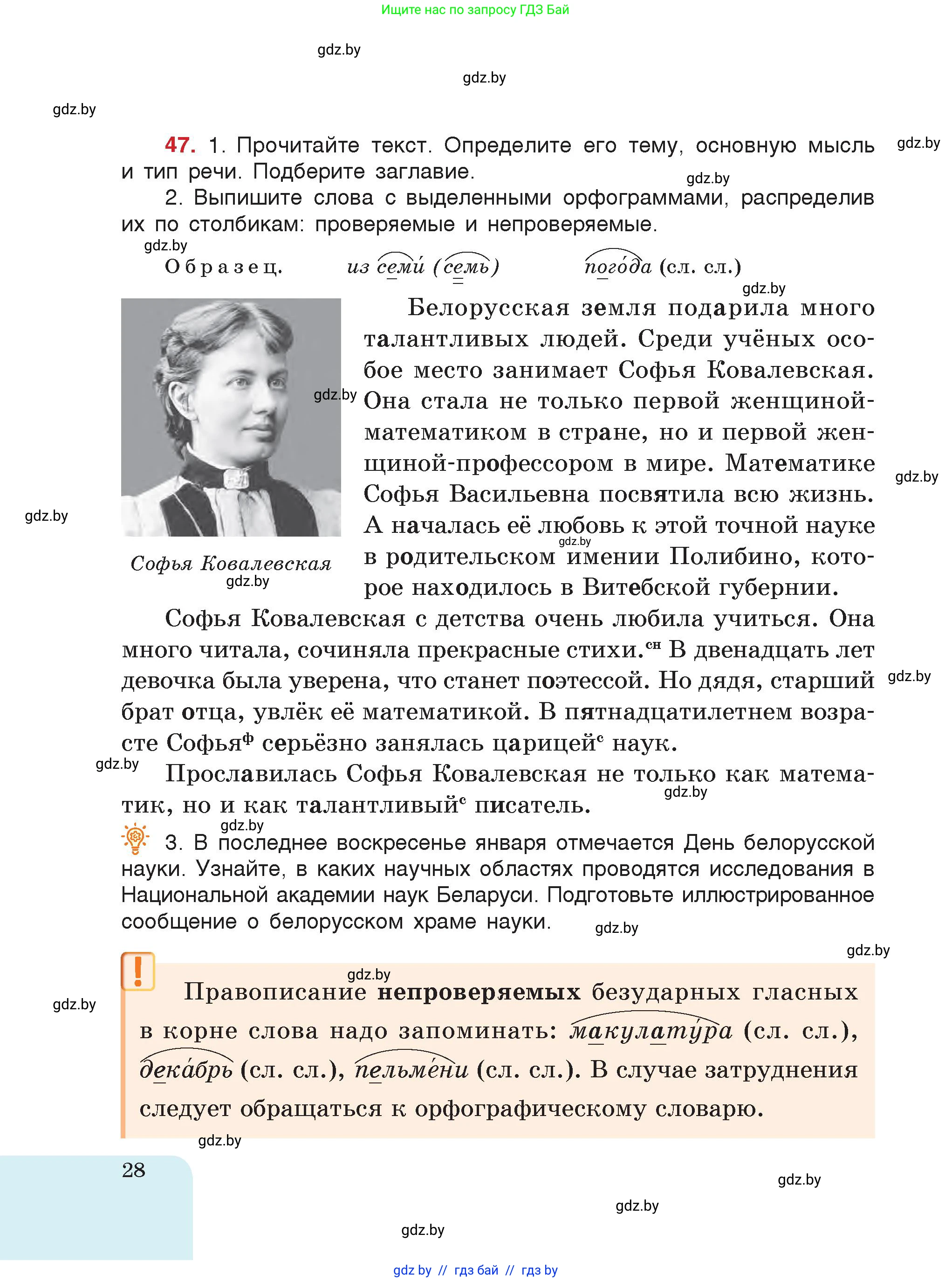 Русский язык, 5 класс Учебник, авторы: Мурина Лариса Александровна, Игнатович Татьяна Владимировна, Жадейко Жанна Фёдоровна, издательство Академия образования, Минск, 2025, голубого цвета, страница 28