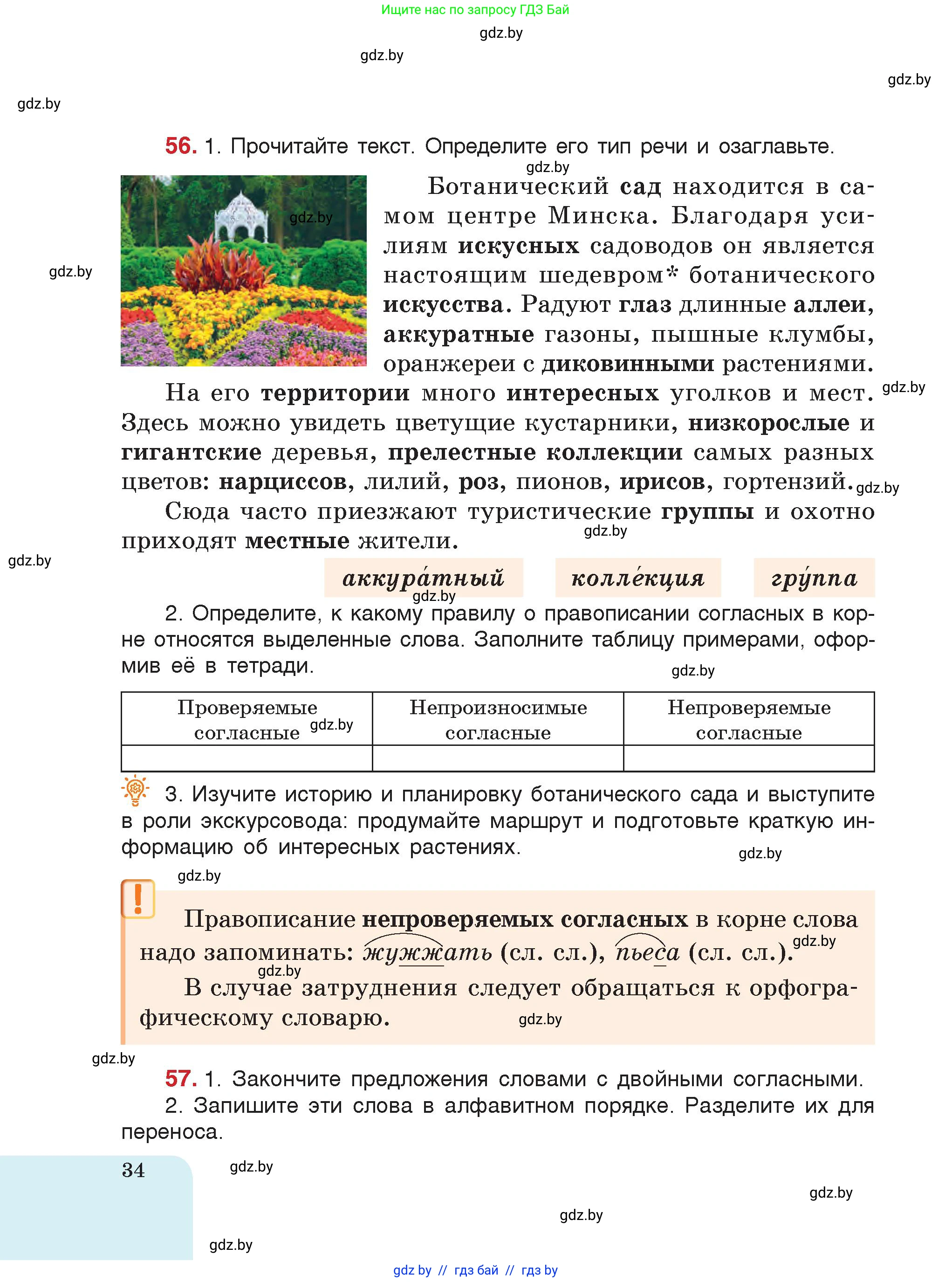 Русский язык, 5 класс Учебник, авторы: Мурина Лариса Александровна, Игнатович Татьяна Владимировна, Жадейко Жанна Фёдоровна, издательство Академия образования, Минск, 2025, голубого цвета, страница 34