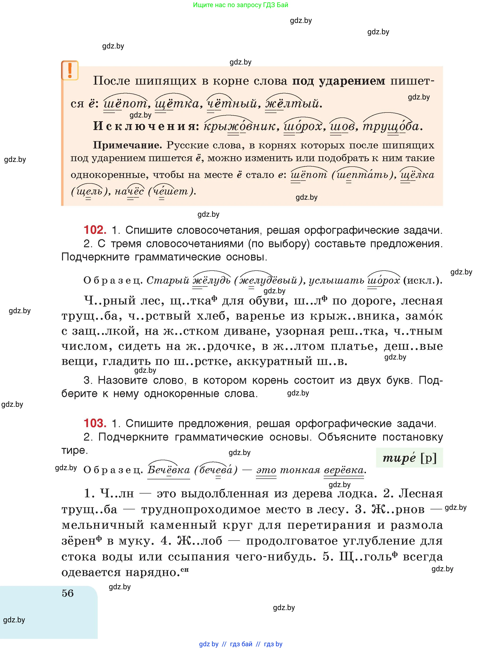 Русский язык, 5 класс Учебник, авторы: Мурина Лариса Александровна, Игнатович Татьяна Владимировна, Жадейко Жанна Фёдоровна, издательство Академия образования, Минск, 2025, голубого цвета, страница 56