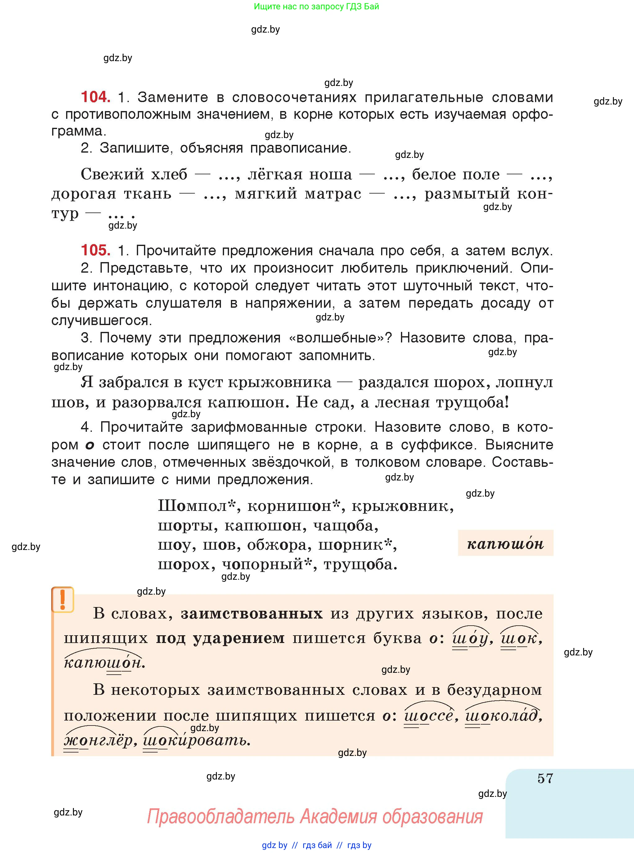 Русский язык, 5 класс Учебник, авторы: Мурина Лариса Александровна, Игнатович Татьяна Владимировна, Жадейко Жанна Фёдоровна, издательство Академия образования, Минск, 2025, голубого цвета, страница 57