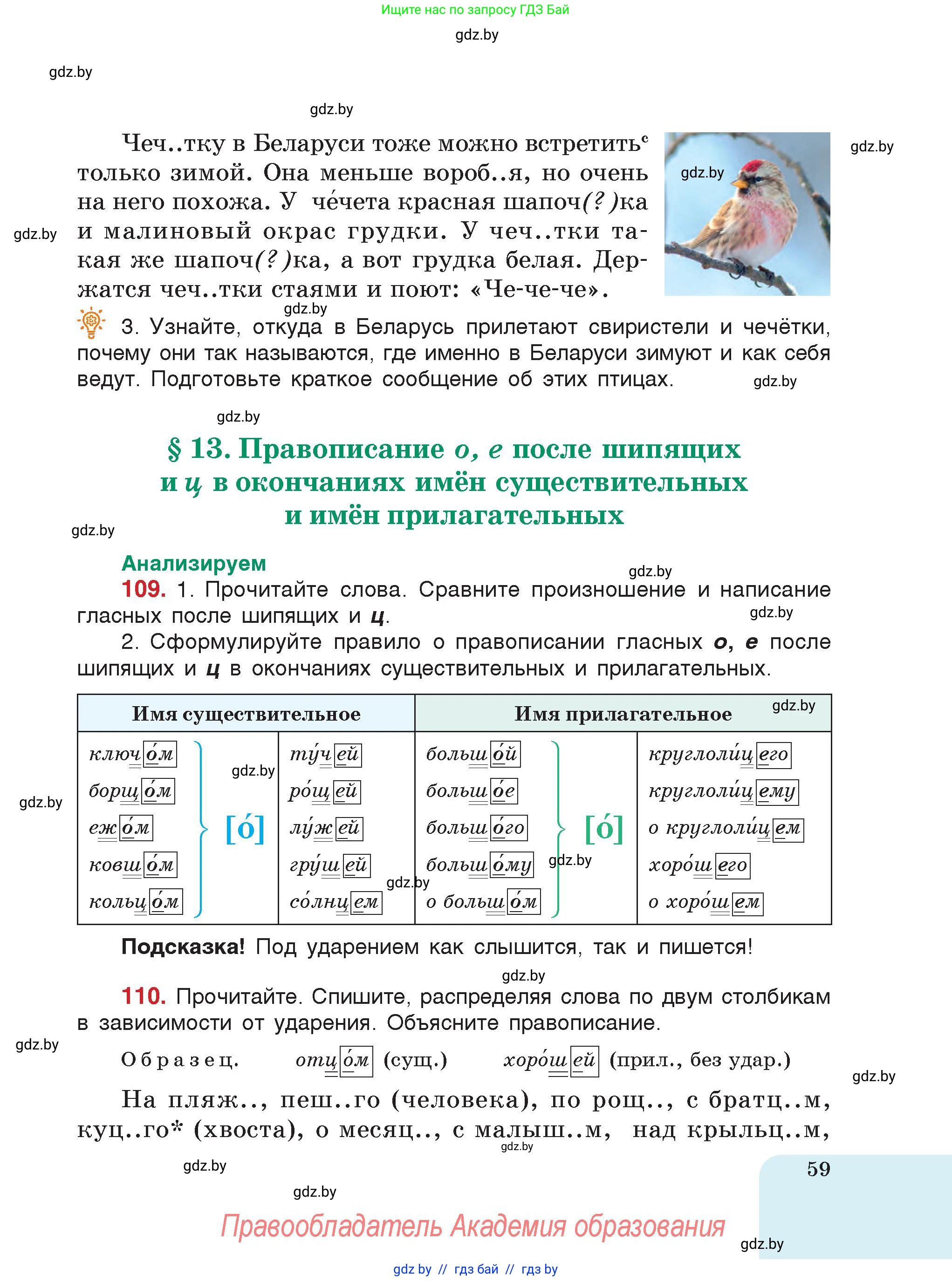 Русский язык, 5 класс Учебник, авторы: Мурина Лариса Александровна, Игнатович Татьяна Владимировна, Жадейко Жанна Фёдоровна, издательство Академия образования, Минск, 2025, голубого цвета, страница 59