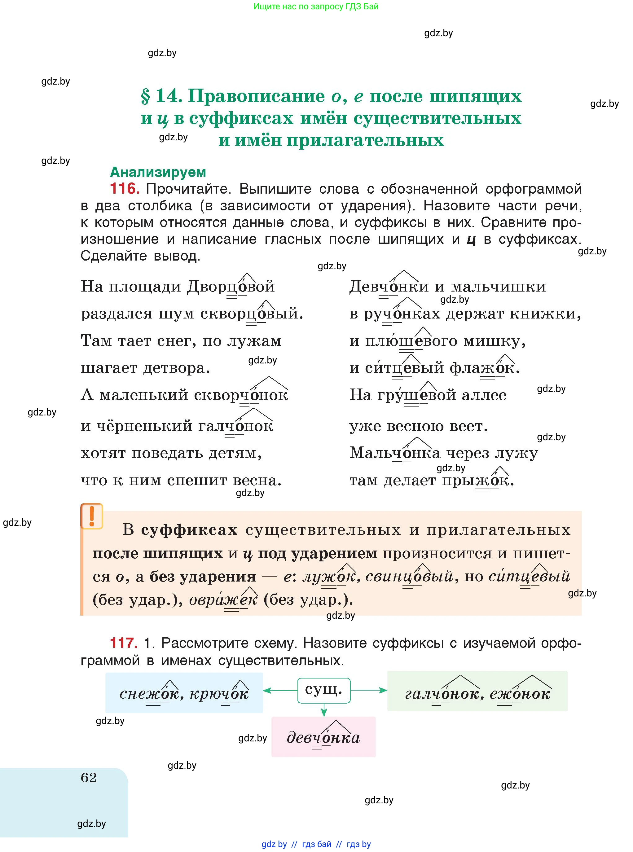 Русский язык, 5 класс Учебник, авторы: Мурина Лариса Александровна, Игнатович Татьяна Владимировна, Жадейко Жанна Фёдоровна, издательство Академия образования, Минск, 2025, голубого цвета, страница 62