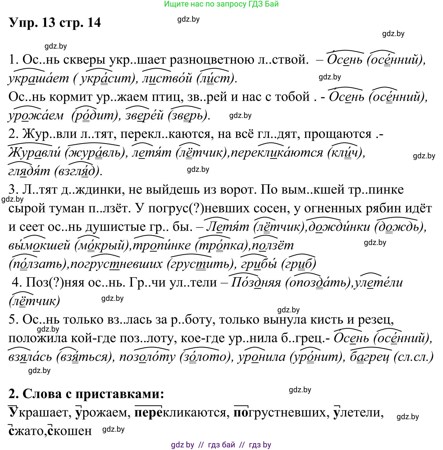 Русский язык, 5 класс Учебник, авторы: Мурина Лариса Александровна, Игнатович Татьяна Владимировна, Жадейко Жанна Фёдоровна, издательство Академия образования, Минск, 2025, голубого цвета, Часть 1, страница 14, номер 13, Решение