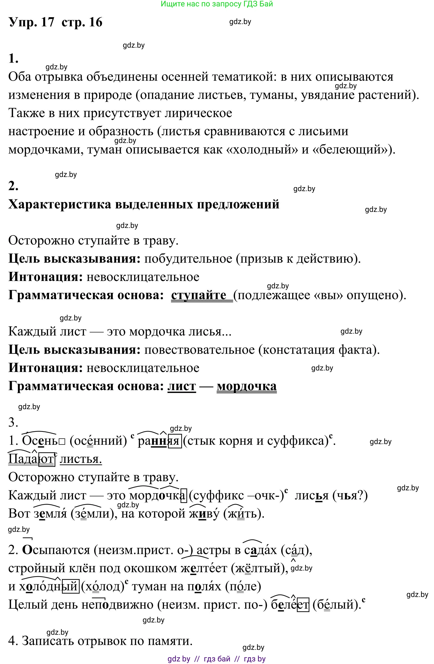 Русский язык, 5 класс Учебник, авторы: Мурина Лариса Александровна, Игнатович Татьяна Владимировна, Жадейко Жанна Фёдоровна, издательство Академия образования, Минск, 2025, голубого цвета, Часть 1, страница 16, номер 17, Решение