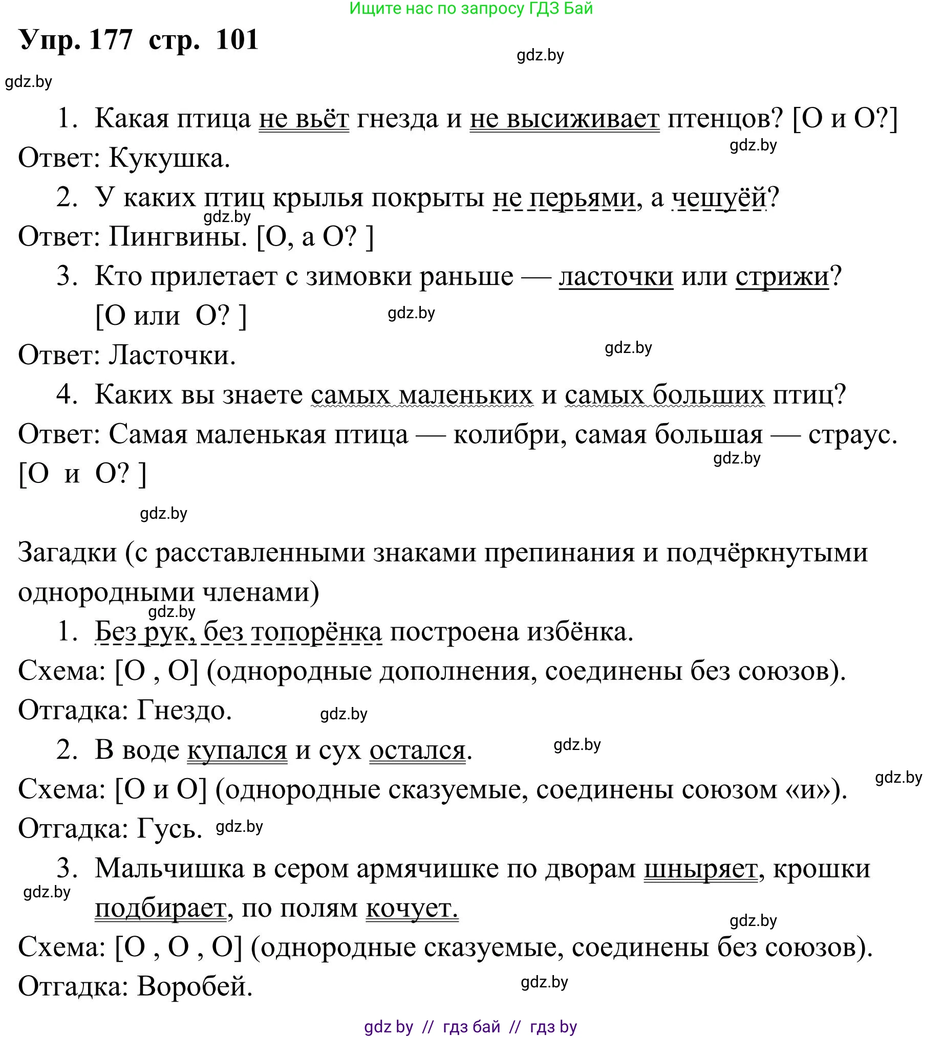 Русский язык, 5 класс Учебник, авторы: Мурина Лариса Александровна, Игнатович Татьяна Владимировна, Жадейко Жанна Фёдоровна, издательство Академия образования, Минск, 2025, голубого цвета, Часть 1, страница 101, номер 177, Решение