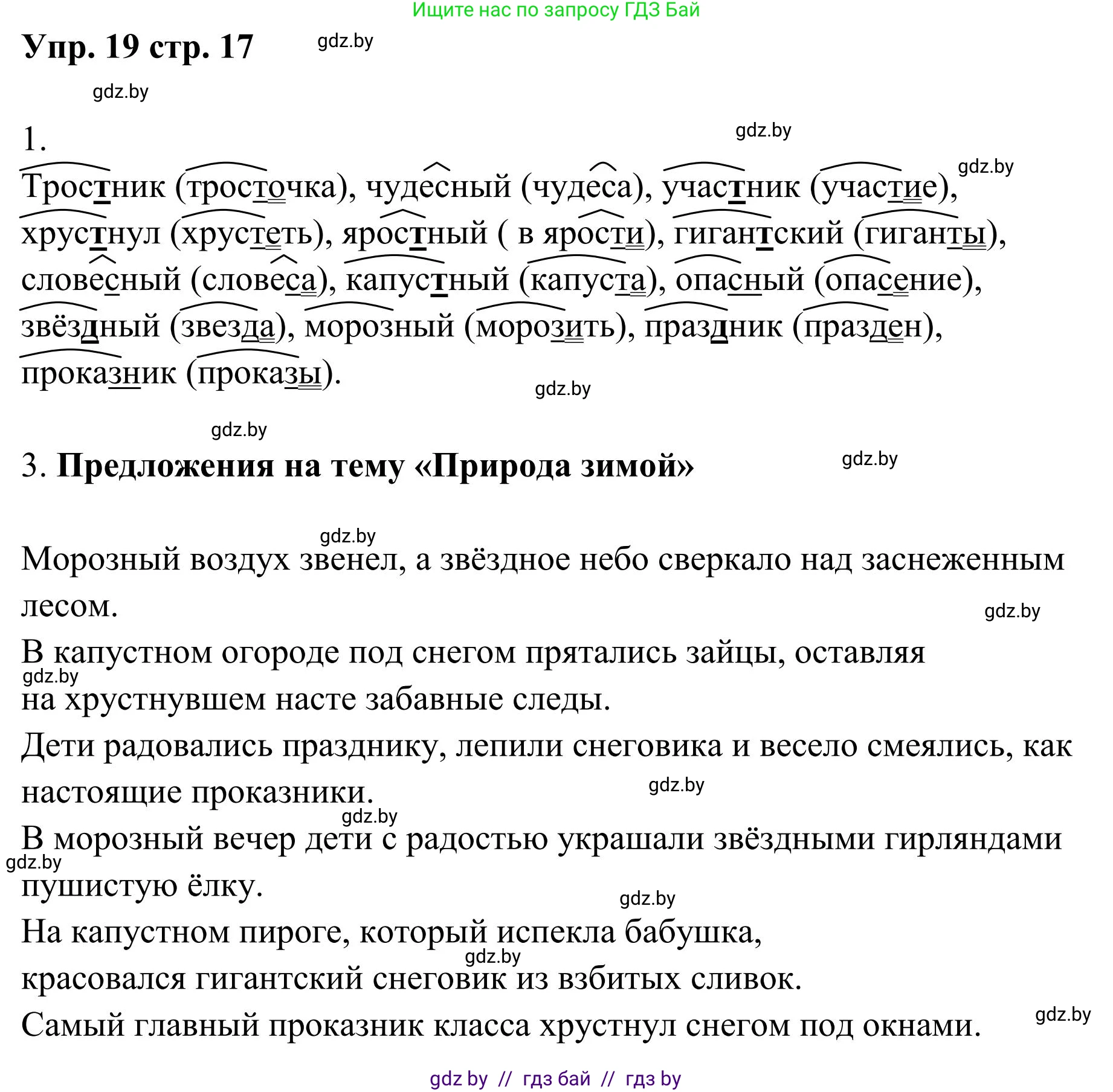 Русский язык, 5 класс Учебник, авторы: Мурина Лариса Александровна, Игнатович Татьяна Владимировна, Жадейко Жанна Фёдоровна, издательство Академия образования, Минск, 2025, голубого цвета, Часть 1, страница 17, номер 19, Решение