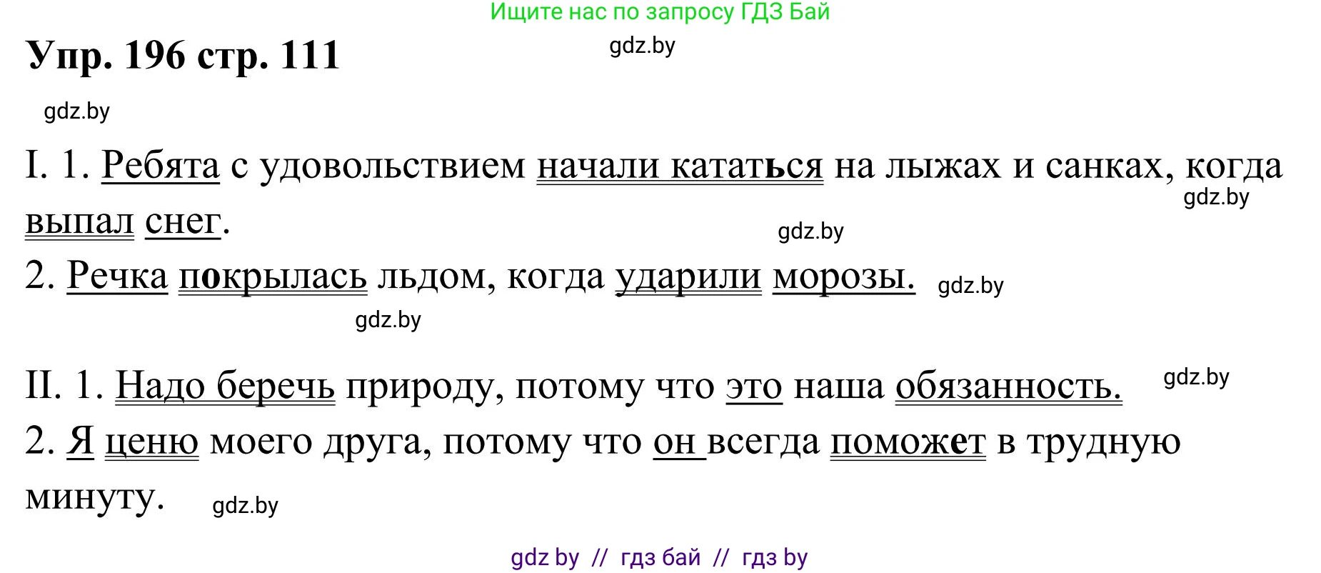 Русский язык, 5 класс Учебник, авторы: Мурина Лариса Александровна, Игнатович Татьяна Владимировна, Жадейко Жанна Фёдоровна, издательство Академия образования, Минск, 2025, голубого цвета, Часть 1, страница 111, номер 196, Решение