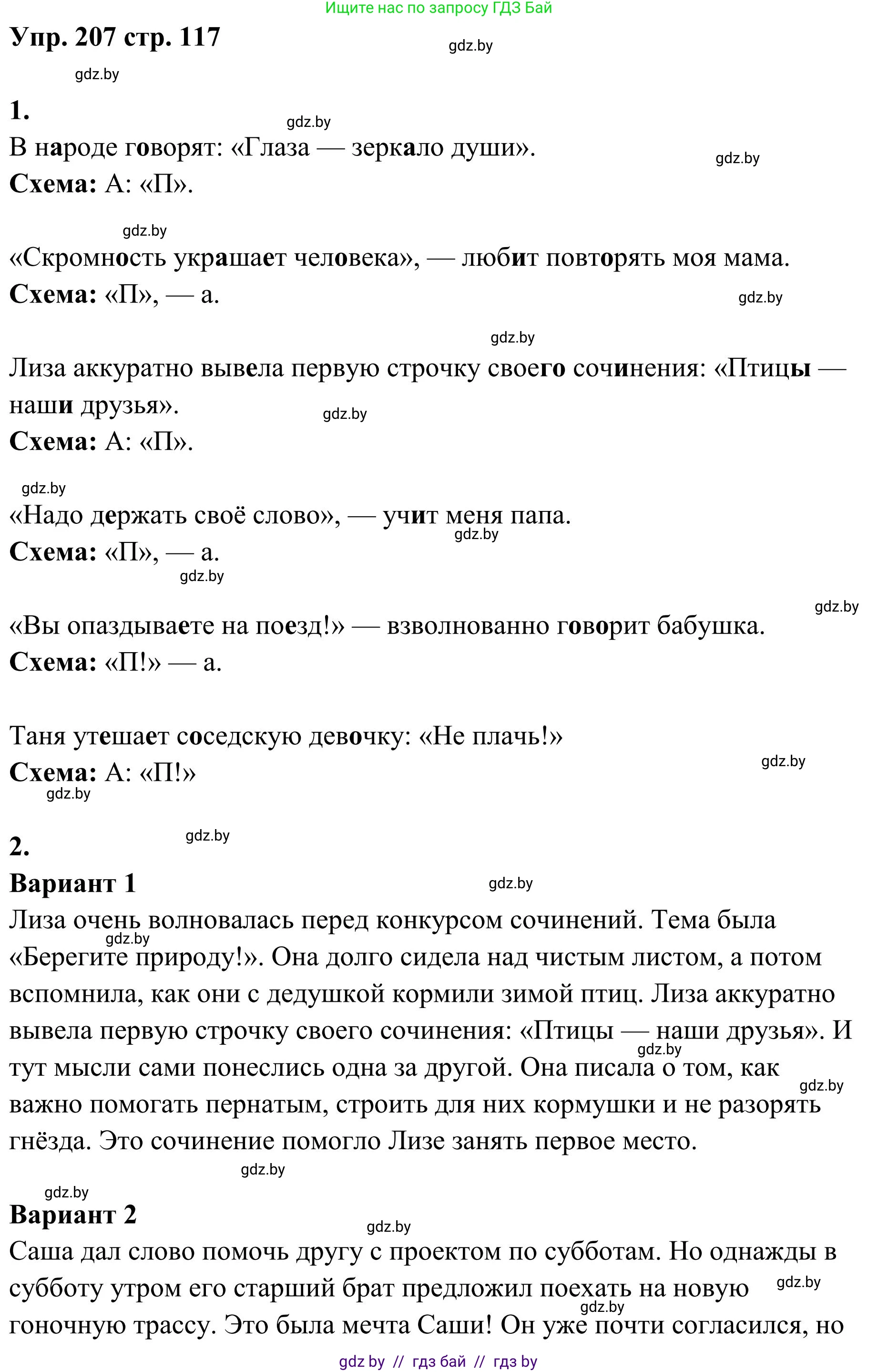 Русский язык, 5 класс Учебник, авторы: Мурина Лариса Александровна, Игнатович Татьяна Владимировна, Жадейко Жанна Фёдоровна, издательство Академия образования, Минск, 2025, голубого цвета, Часть 1, страница 117, номер 207, Решение