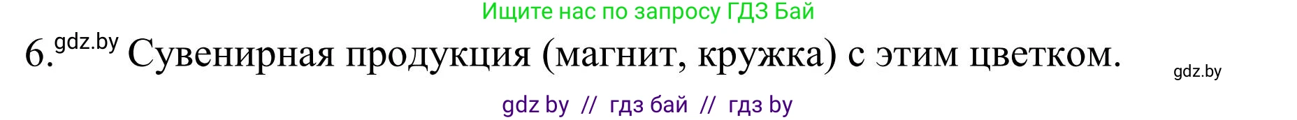 Русский язык, 5 класс Учебник, авторы: Мурина Лариса Александровна, Игнатович Татьяна Владимировна, Жадейко Жанна Фёдоровна, издательство Академия образования, Минск, 2025, голубого цвета, Часть 1, страница 131, номер 224, Решение (продолжение 3)