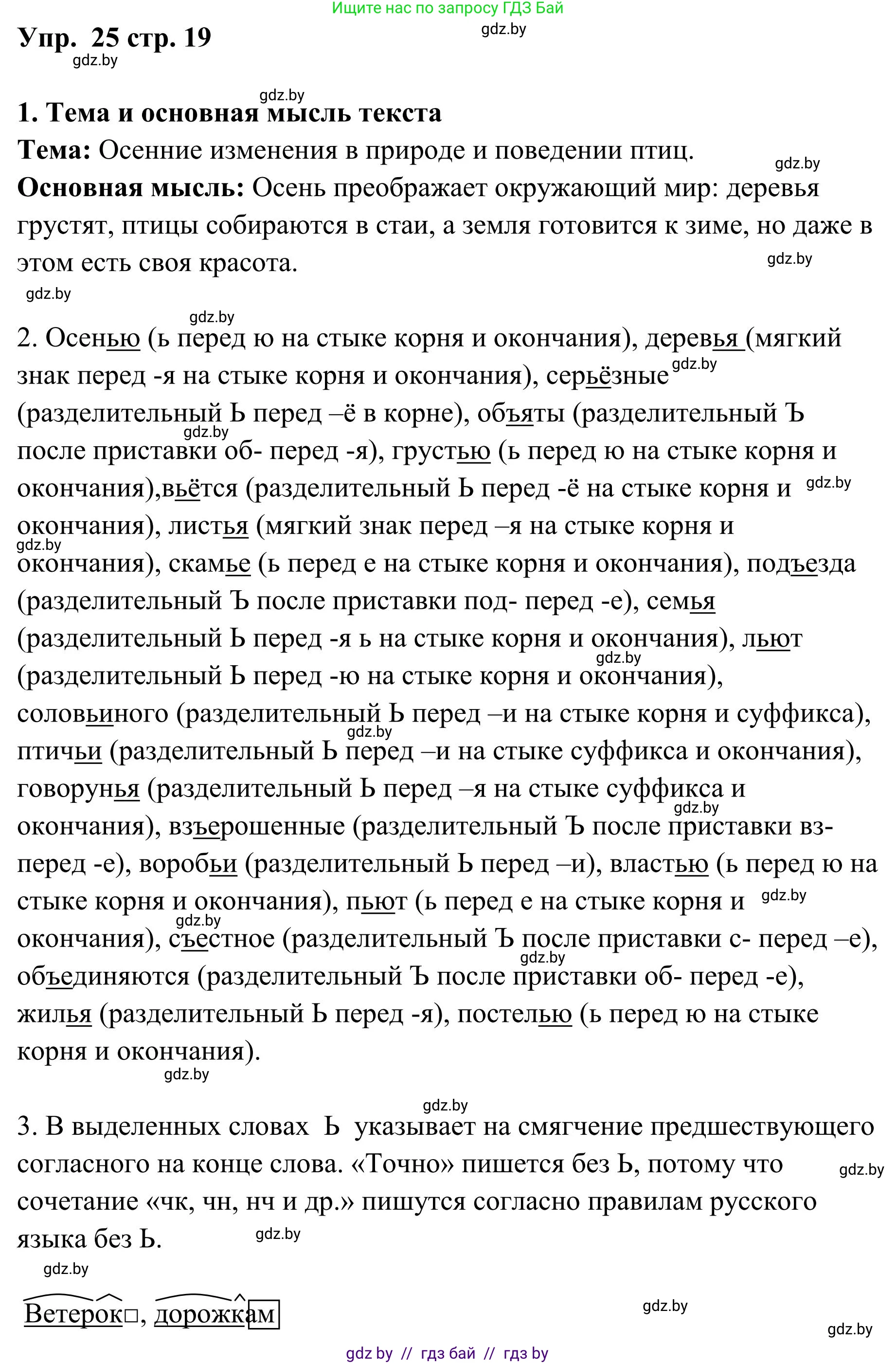Русский язык, 5 класс Учебник, авторы: Мурина Лариса Александровна, Игнатович Татьяна Владимировна, Жадейко Жанна Фёдоровна, издательство Академия образования, Минск, 2025, голубого цвета, Часть 1, страница 19, номер 25, Решение