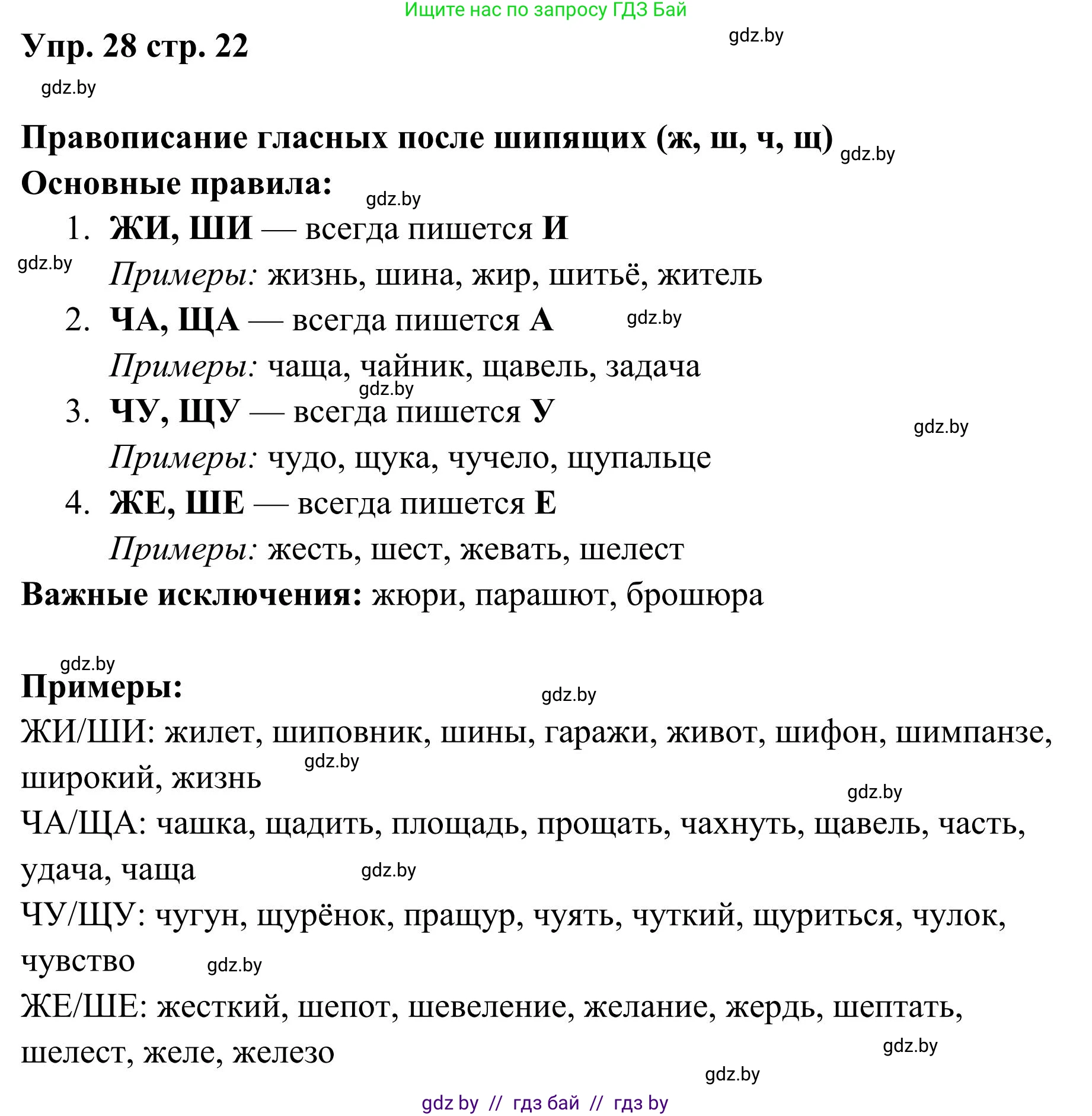 Русский язык, 5 класс Учебник, авторы: Мурина Лариса Александровна, Игнатович Татьяна Владимировна, Жадейко Жанна Фёдоровна, издательство Академия образования, Минск, 2025, голубого цвета, Часть 1, страница 22, номер 28, Решение