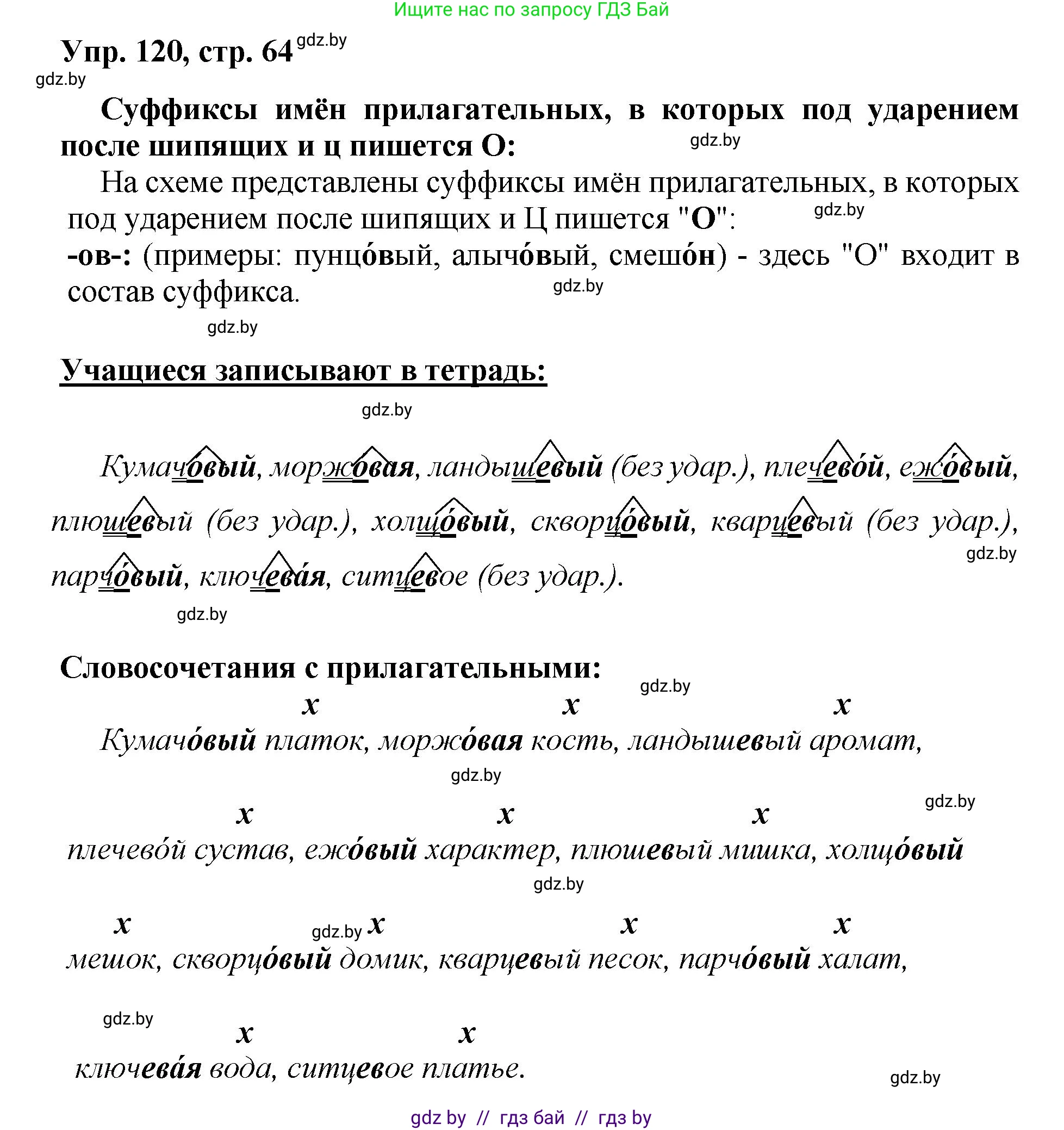 Русский язык, 5 класс Учебник, авторы: Мурина Лариса Александровна, Игнатович Татьяна Владимировна, Жадейко Жанна Фёдоровна, издательство Академия образования, Минск, 2025, голубого цвета, Часть 2, страница 64, номер 120, Решение