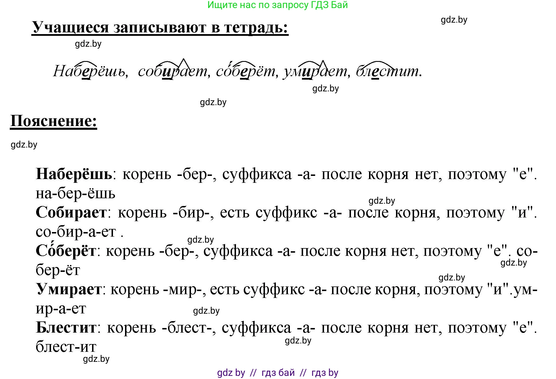 Русский язык, 5 класс Учебник, авторы: Мурина Лариса Александровна, Игнатович Татьяна Владимировна, Жадейко Жанна Фёдоровна, издательство Академия образования, Минск, 2025, голубого цвета, Часть 2, страница 83, номер 163, Решение (продолжение 2)