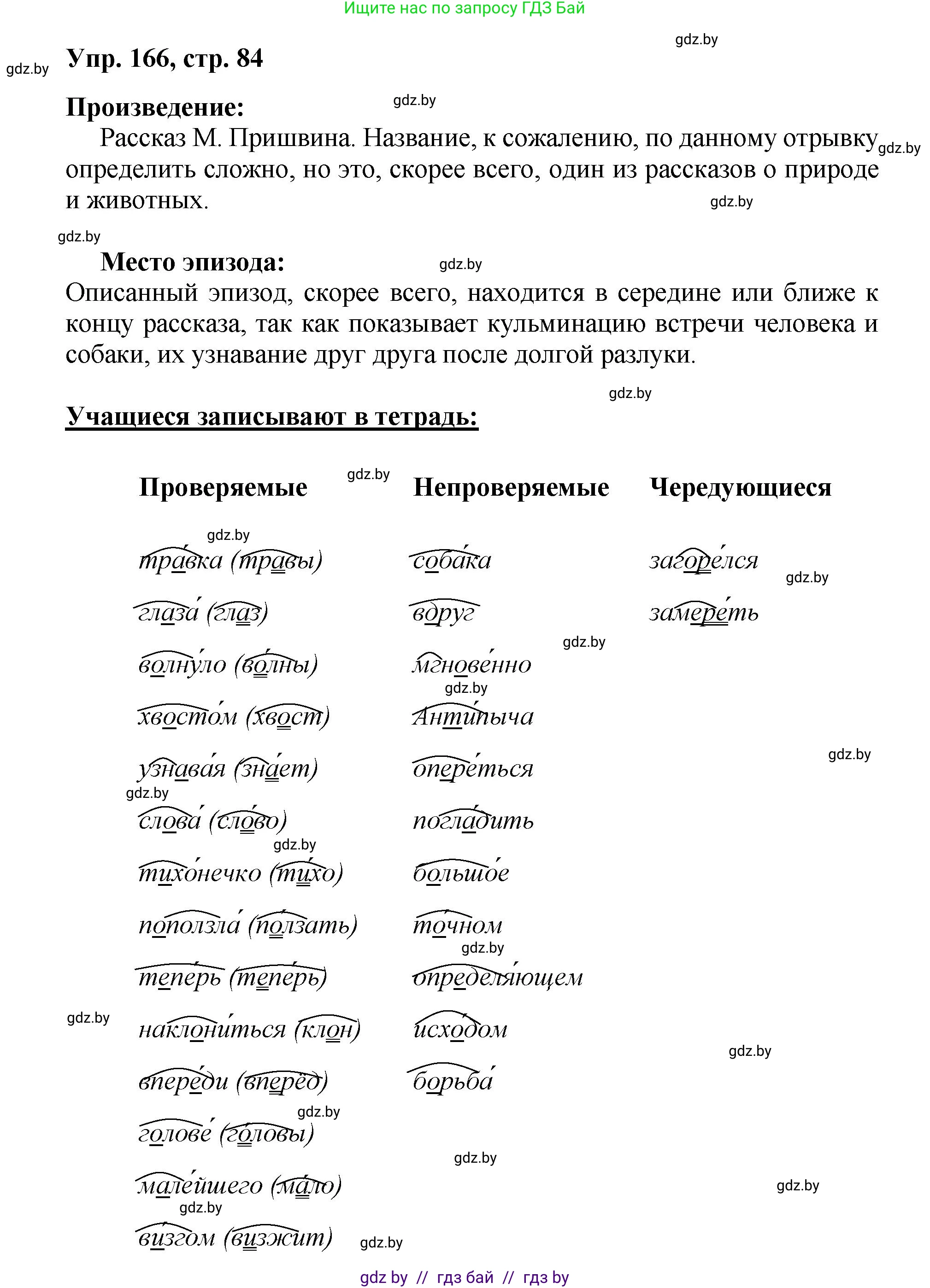 Русский язык, 5 класс Учебник, авторы: Мурина Лариса Александровна, Игнатович Татьяна Владимировна, Жадейко Жанна Фёдоровна, издательство Академия образования, Минск, 2025, голубого цвета, Часть 2, страница 84, номер 166, Решение