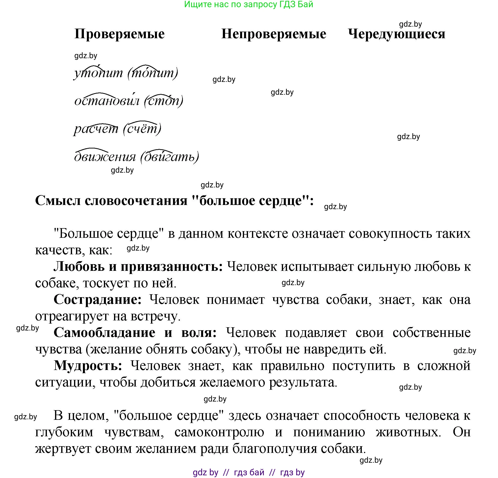 Русский язык, 5 класс Учебник, авторы: Мурина Лариса Александровна, Игнатович Татьяна Владимировна, Жадейко Жанна Фёдоровна, издательство Академия образования, Минск, 2025, голубого цвета, Часть 2, страница 84, номер 166, Решение (продолжение 2)