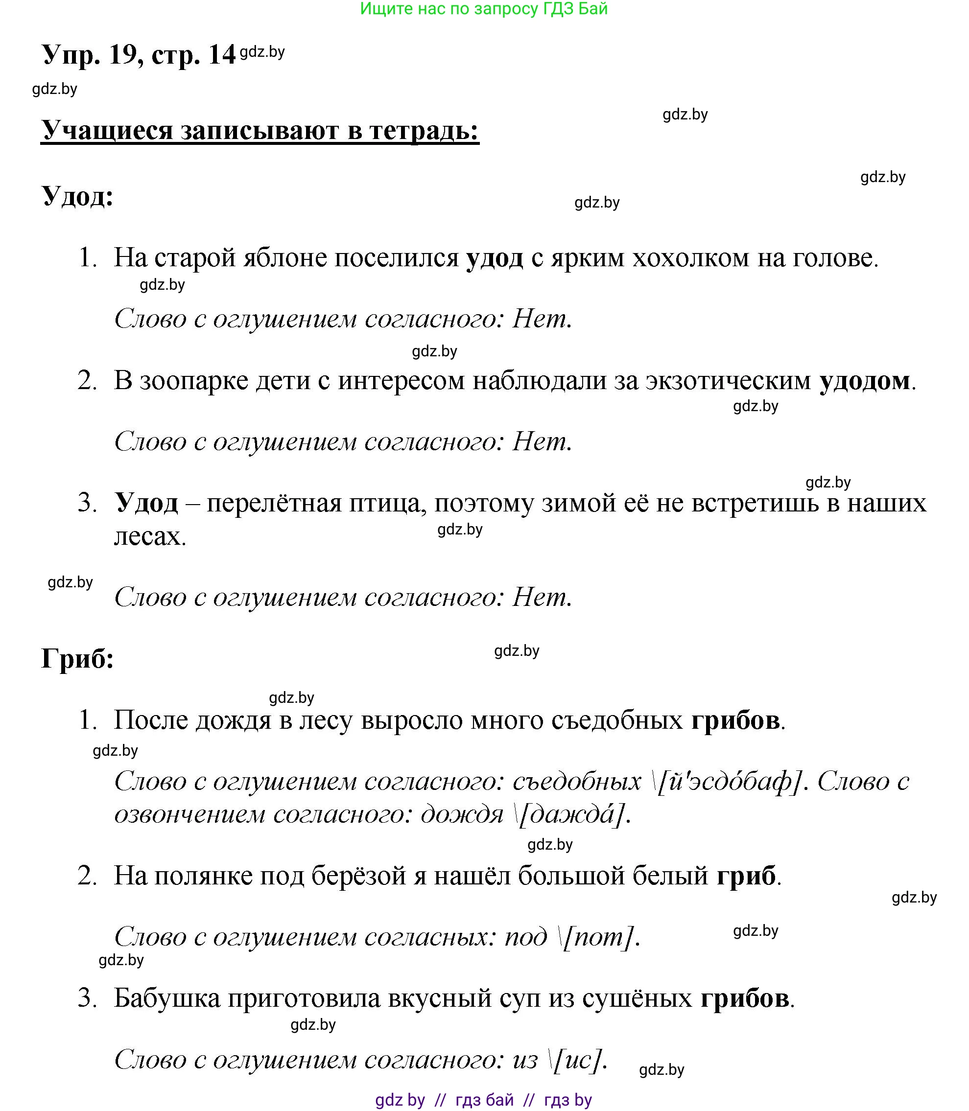 Русский язык, 5 класс Учебник, авторы: Мурина Лариса Александровна, Игнатович Татьяна Владимировна, Жадейко Жанна Фёдоровна, издательство Академия образования, Минск, 2025, голубого цвета, Часть 2, страница 14, номер 19, Решение