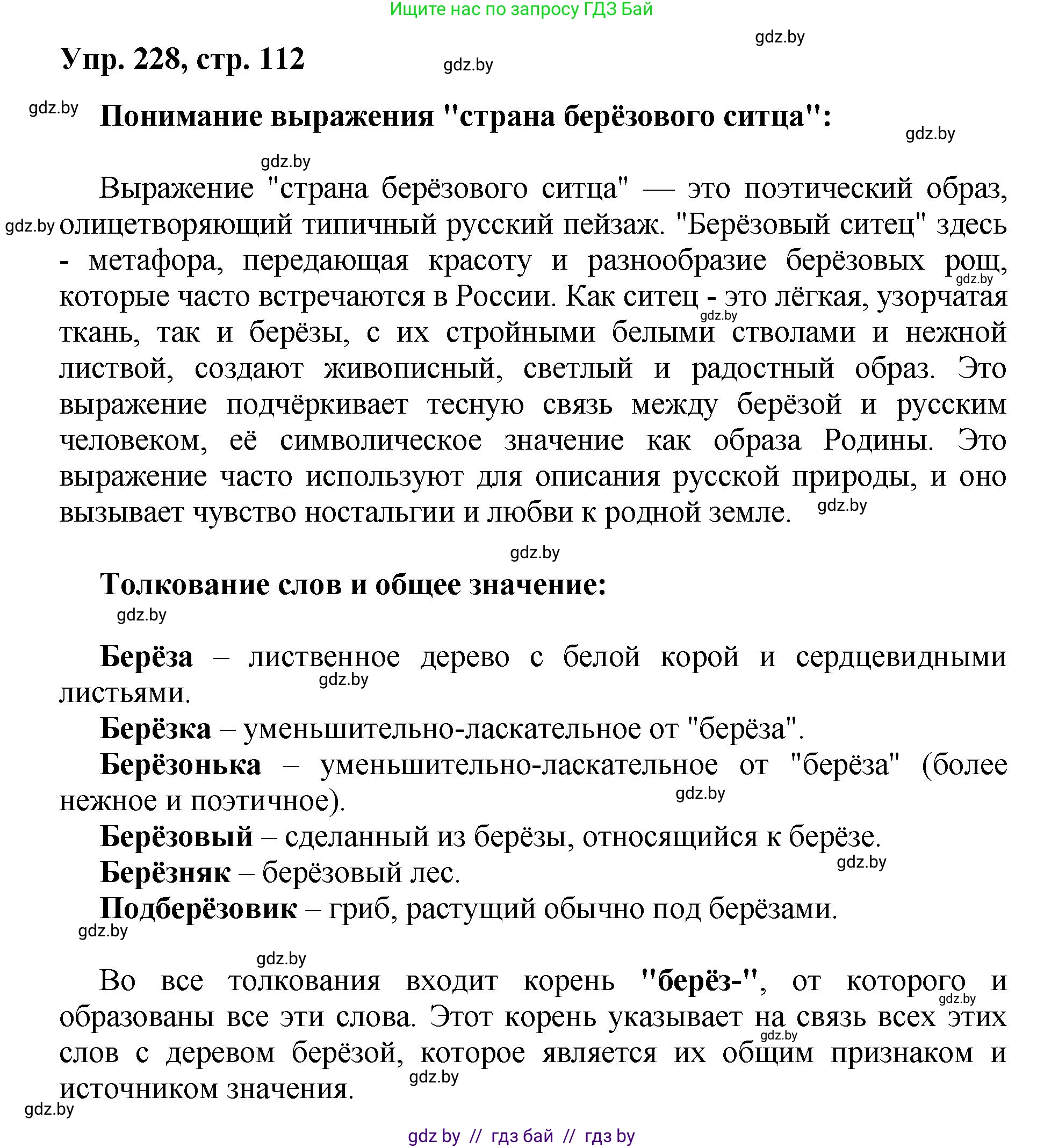 Русский язык, 5 класс Учебник, авторы: Мурина Лариса Александровна, Игнатович Татьяна Владимировна, Жадейко Жанна Фёдоровна, издательство Академия образования, Минск, 2025, голубого цвета, Часть 2, страница 112, номер 228, Решение