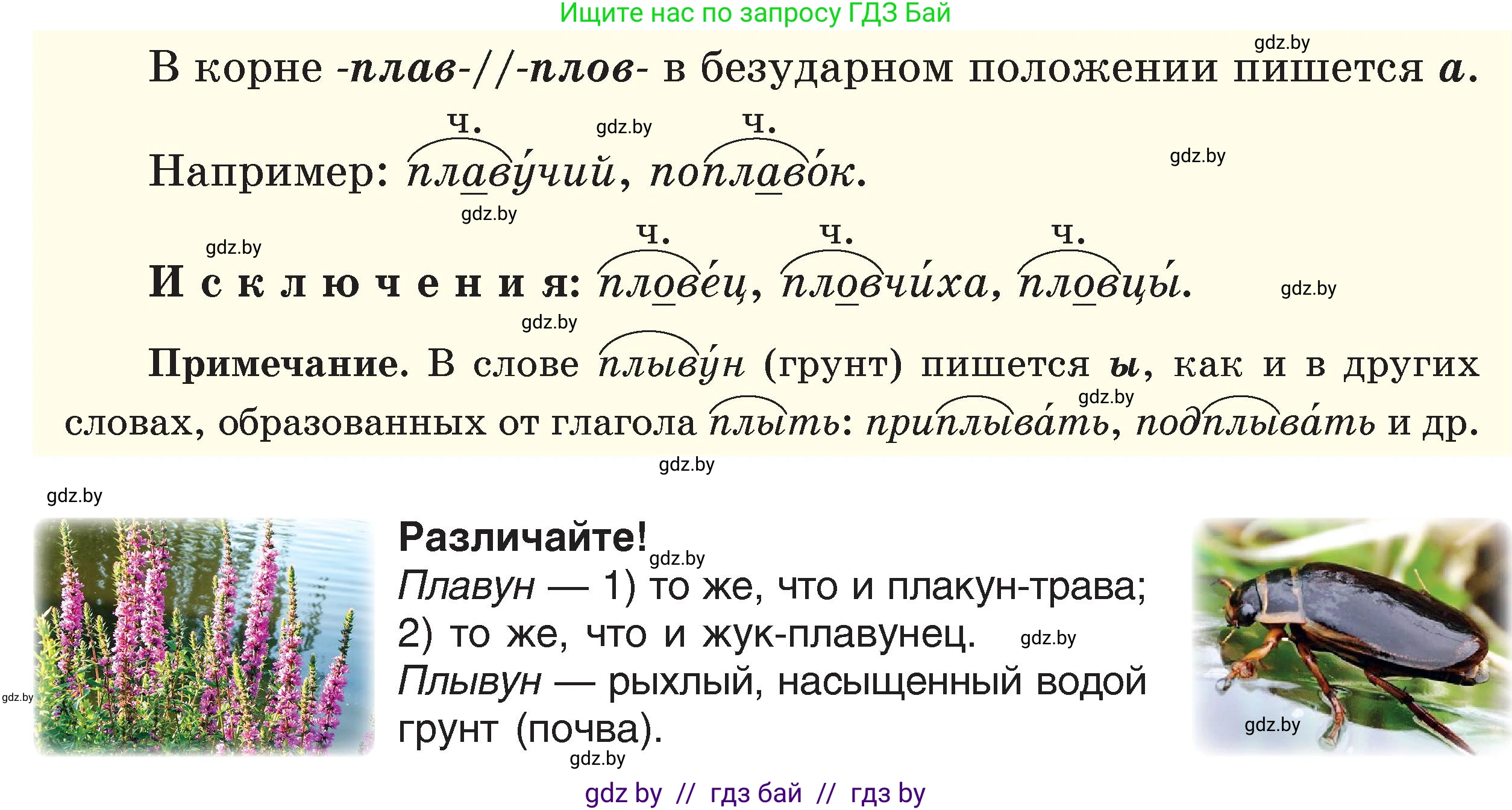 Русский язык, 6 класс Учебник, авторы: Мурина Лариса Александровна, Игнатович Татьяна Владимировна, Жадейко Жанна Фёдоровна, издательство Национальный институт образования, Минск, 2020, страница 71, номер 152, Условие (продолжение 2)