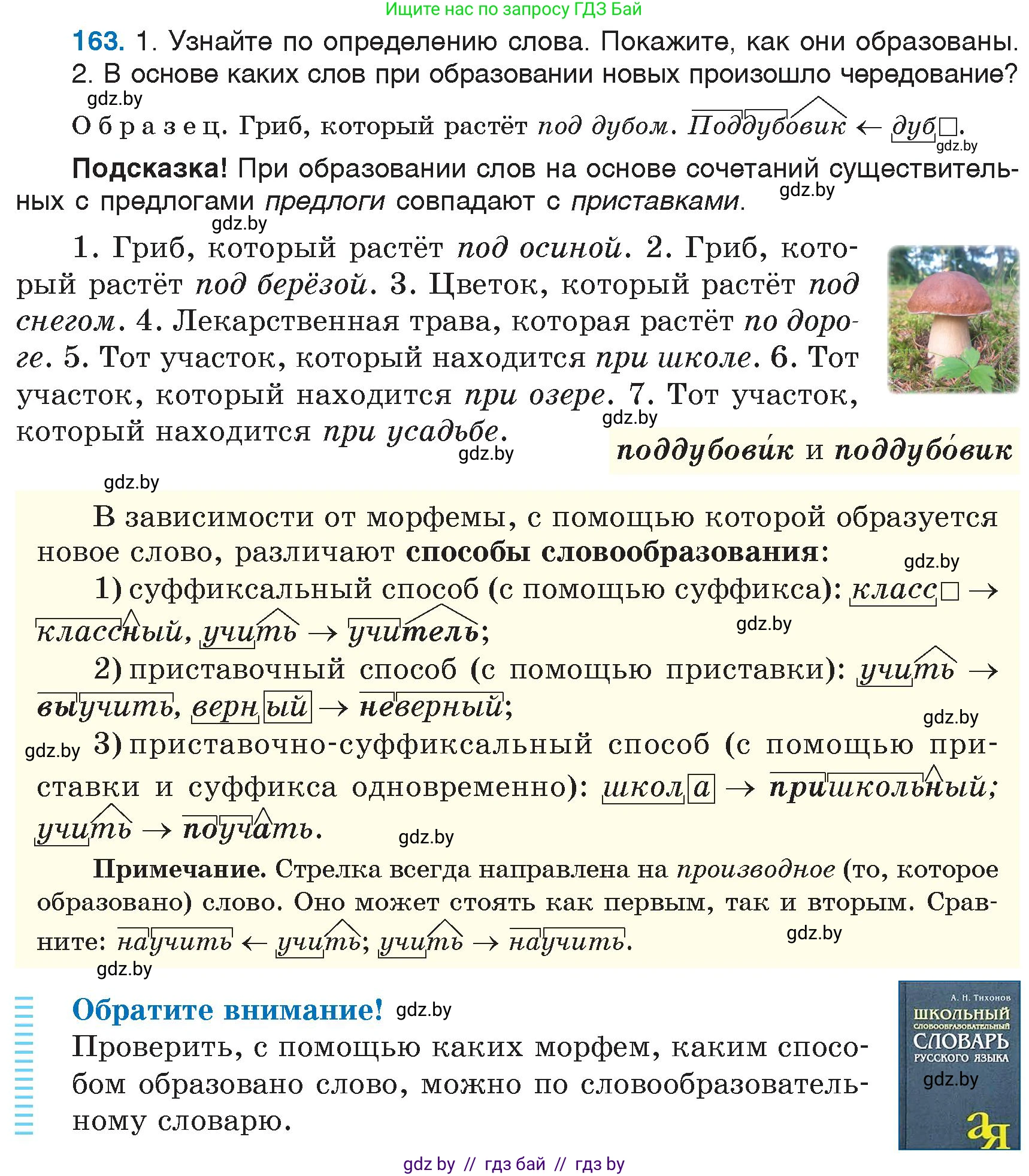 Русский язык, 6 класс Учебник, авторы: Мурина Лариса Александровна, Игнатович Татьяна Владимировна, Жадейко Жанна Фёдоровна, издательство Национальный институт образования, Минск, 2020, страница 77, номер 163, Условие