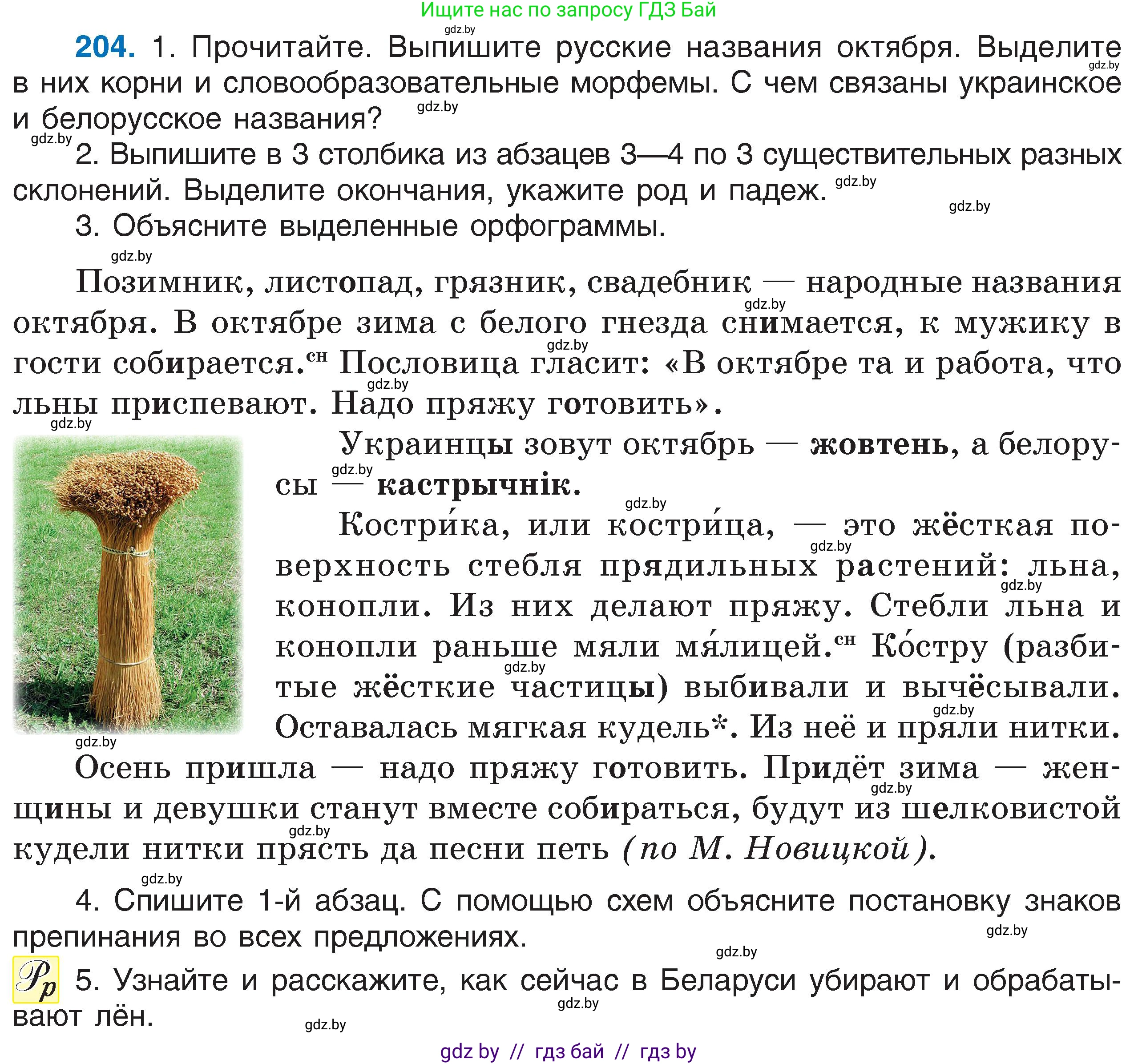 Русский язык, 6 класс Учебник, авторы: Мурина Лариса Александровна, Игнатович Татьяна Владимировна, Жадейко Жанна Фёдоровна, издательство Национальный институт образования, Минск, 2020, страница 98, номер 204, Условие