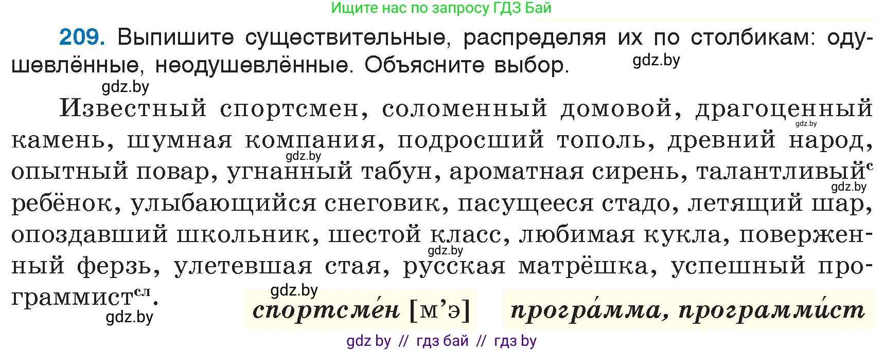Русский язык, 6 класс Учебник, авторы: Мурина Лариса Александровна, Игнатович Татьяна Владимировна, Жадейко Жанна Фёдоровна, издательство Национальный институт образования, Минск, 2020, страница 100, номер 209, Условие