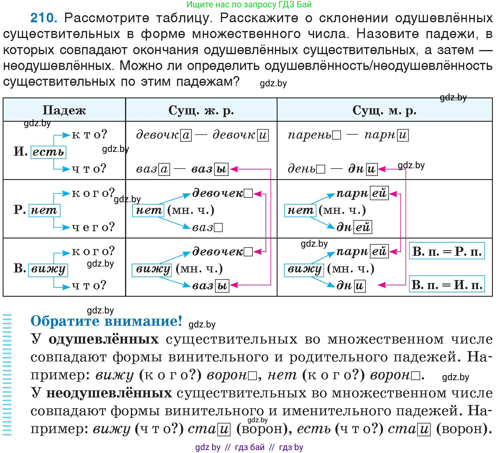 Русский язык, 6 класс Учебник, авторы: Мурина Лариса Александровна, Игнатович Татьяна Владимировна, Жадейко Жанна Фёдоровна, издательство Национальный институт образования, Минск, 2020, страница 101, номер 210, Условие
