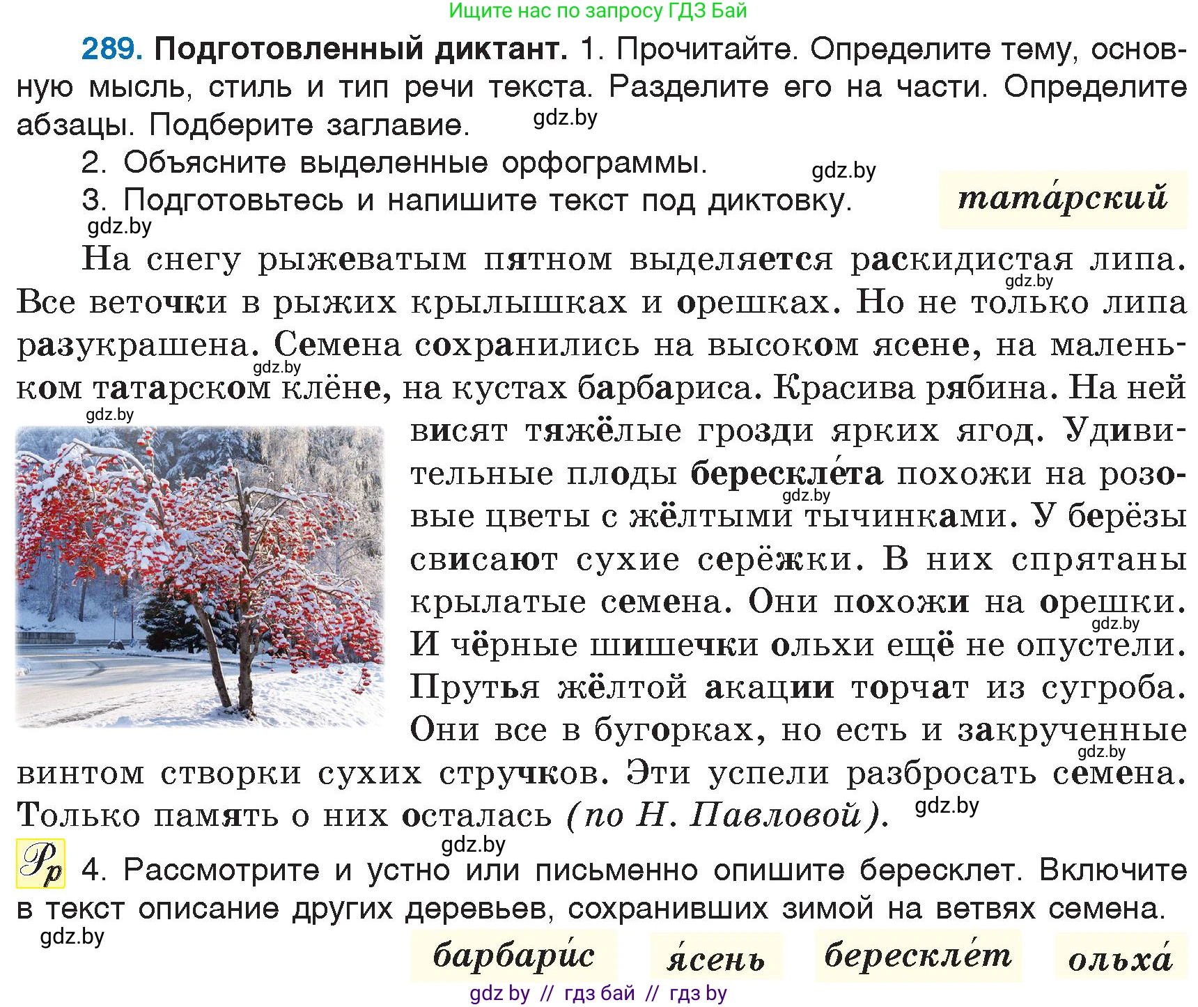 Русский язык, 6 класс Учебник, авторы: Мурина Лариса Александровна, Игнатович Татьяна Владимировна, Жадейко Жанна Фёдоровна, издательство Национальный институт образования, Минск, 2020, страница 138, номер 289, Условие