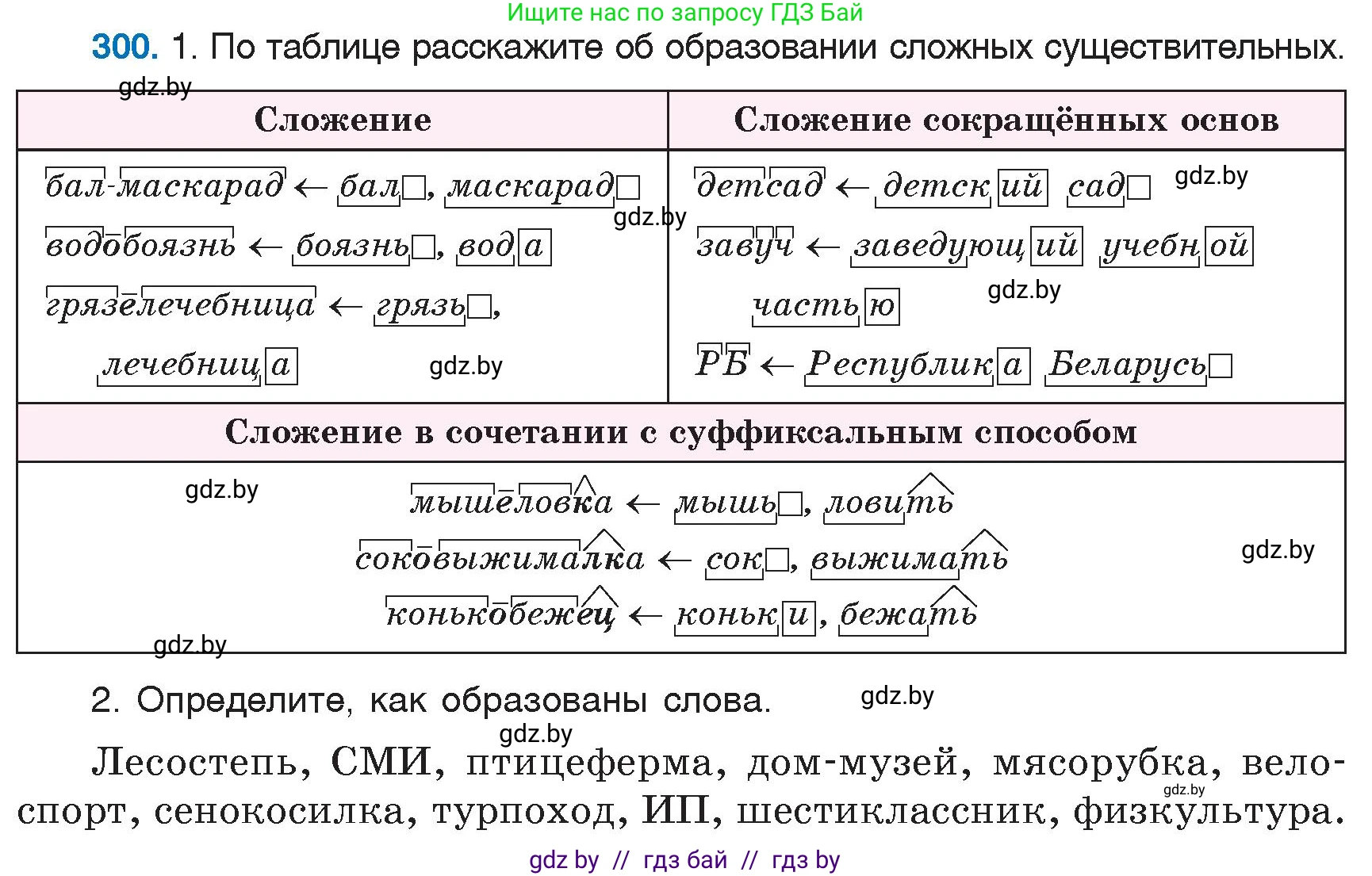 Русский язык, 6 класс Учебник, авторы: Мурина Лариса Александровна, Игнатович Татьяна Владимировна, Жадейко Жанна Фёдоровна, издательство Национальный институт образования, Минск, 2020, страница 142, номер 300, Условие