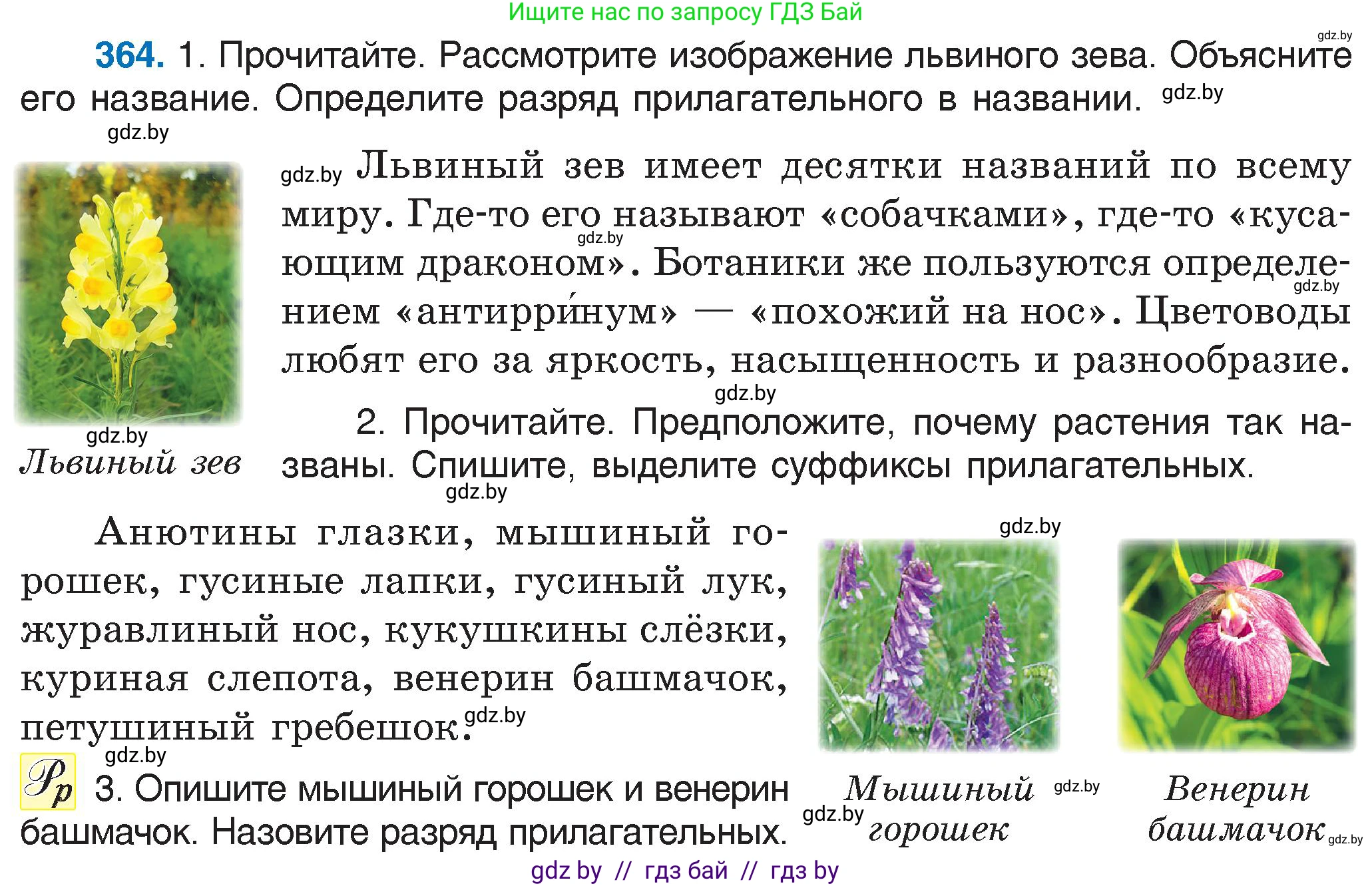 Русский язык, 6 класс Учебник, авторы: Мурина Лариса Александровна, Игнатович Татьяна Владимировна, Жадейко Жанна Фёдоровна, издательство Национальный институт образования, Минск, 2020, страница 166, номер 364, Условие