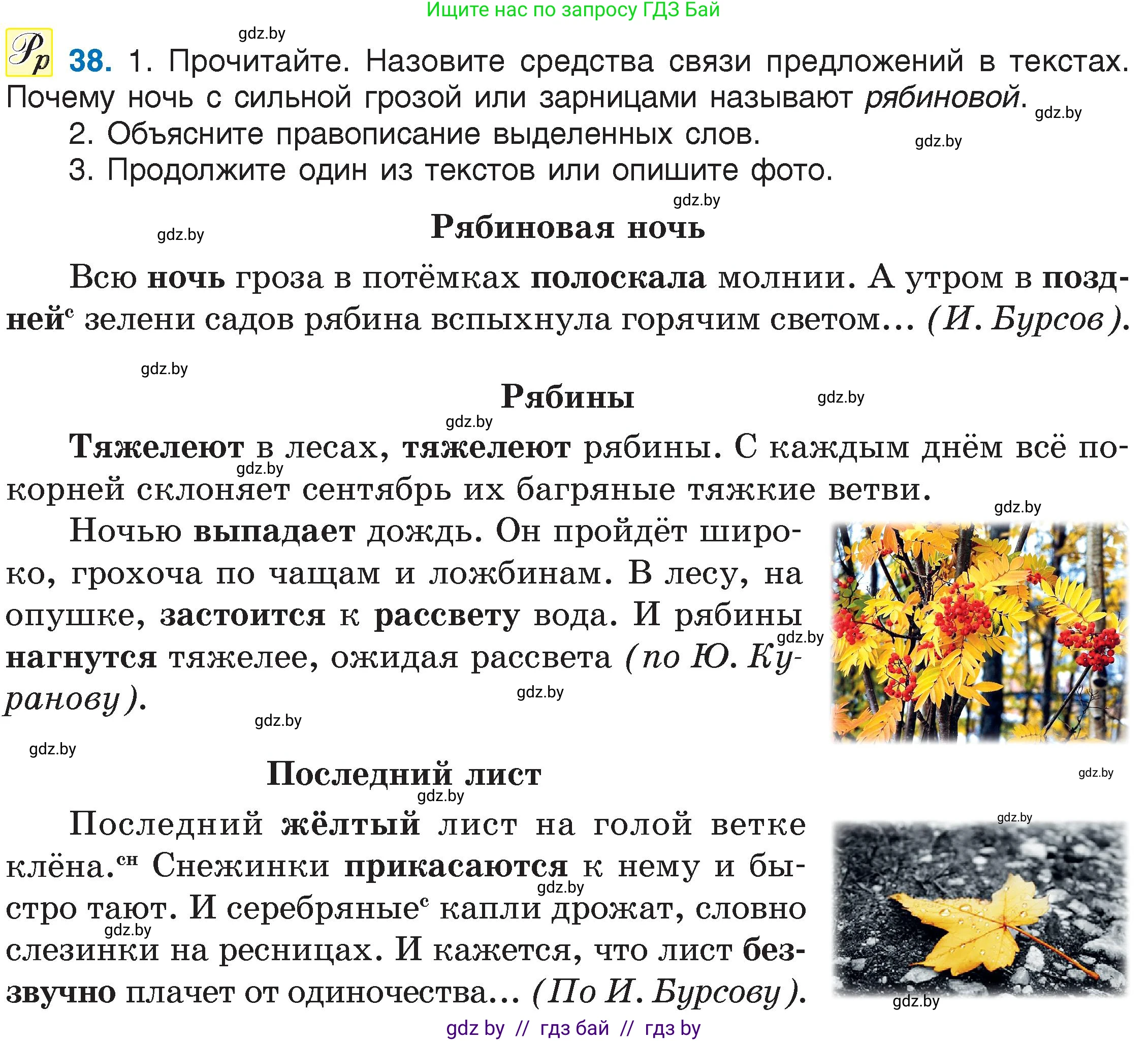 Русский язык, 6 класс Учебник, авторы: Мурина Лариса Александровна, Игнатович Татьяна Владимировна, Жадейко Жанна Фёдоровна, издательство Национальный институт образования, Минск, 2020, страница 25, номер 38, Условие