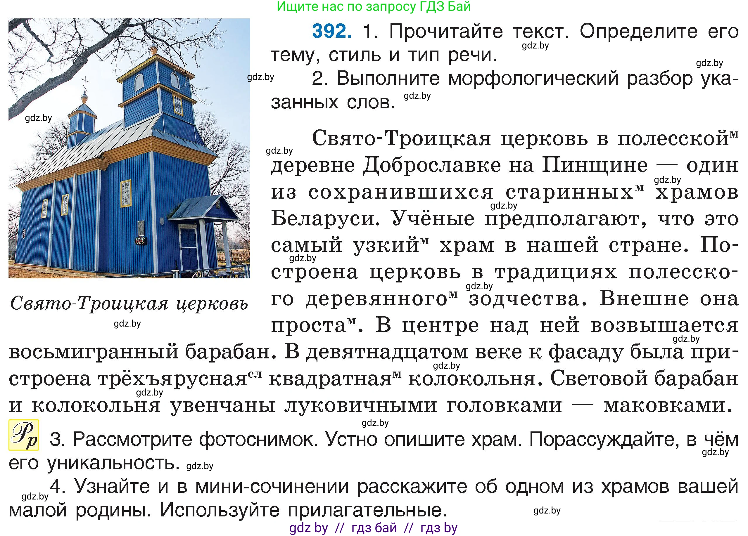 Русский язык, 6 класс Учебник, авторы: Мурина Лариса Александровна, Игнатович Татьяна Владимировна, Жадейко Жанна Фёдоровна, издательство Национальный институт образования, Минск, 2020, страница 178, номер 392, Условие