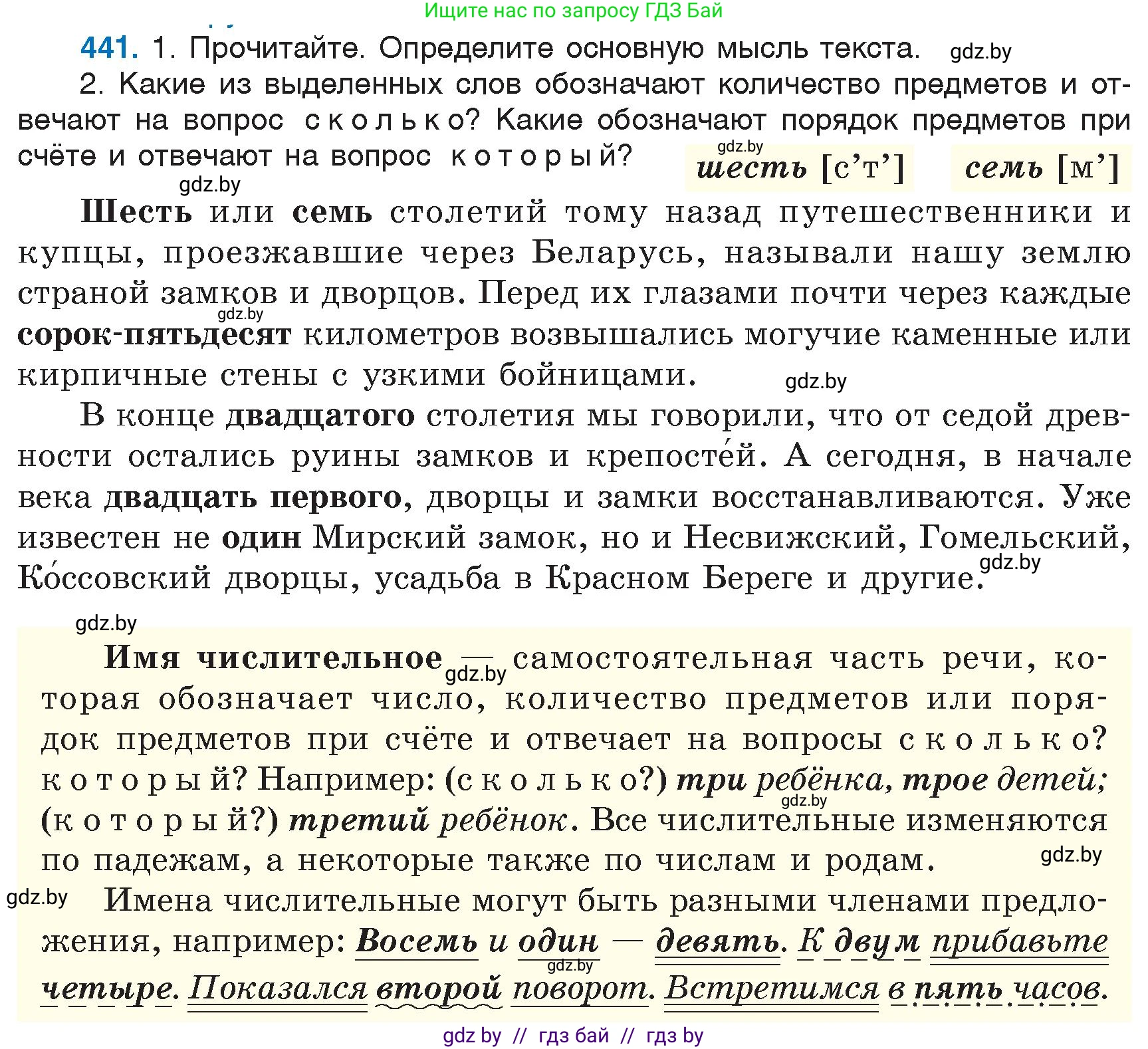 Русский язык, 6 класс Учебник, авторы: Мурина Лариса Александровна, Игнатович Татьяна Владимировна, Жадейко Жанна Фёдоровна, издательство Национальный институт образования, Минск, 2020, страница 197, номер 441, Условие